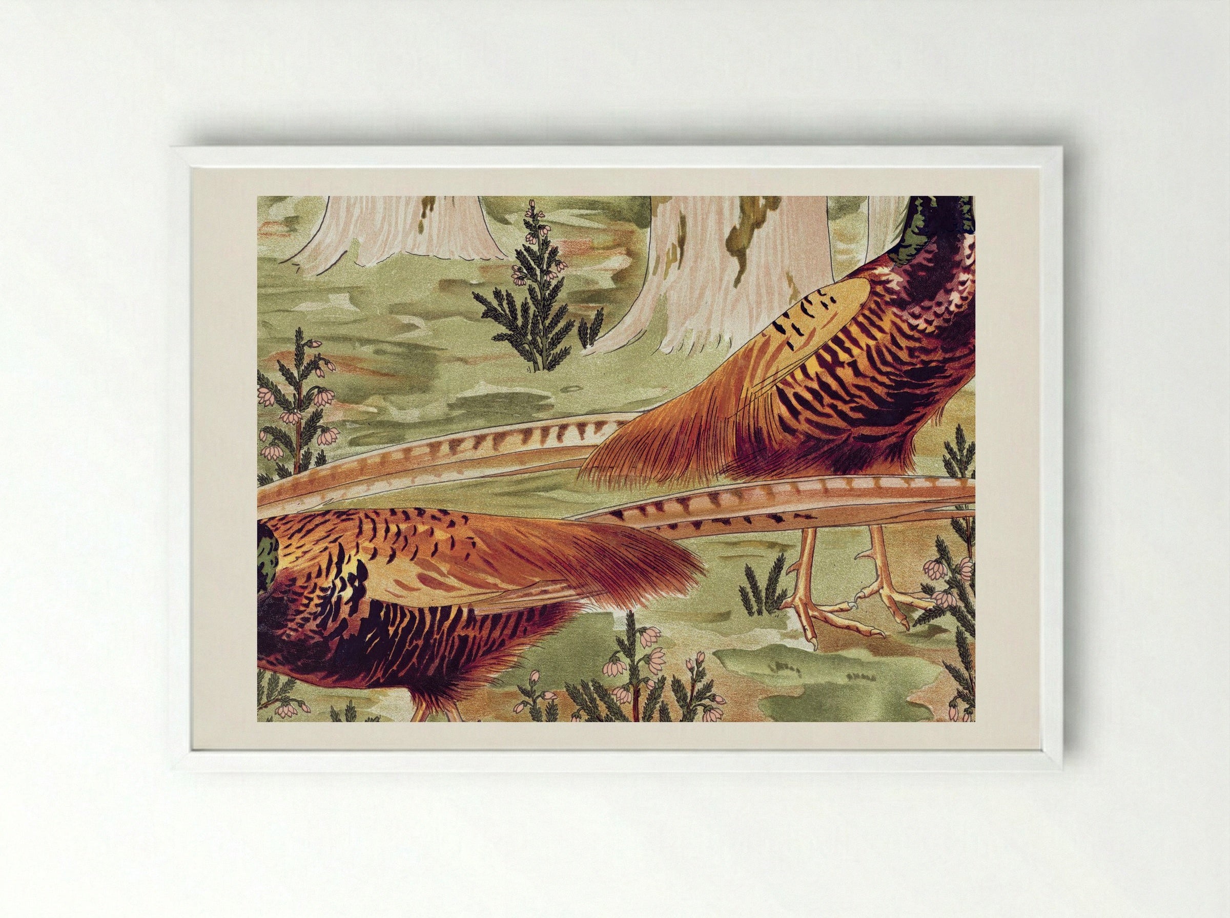 Faisans Ordinaires (Common Pheasants) - Maurice Pillard Verneuil - Framed Print White
