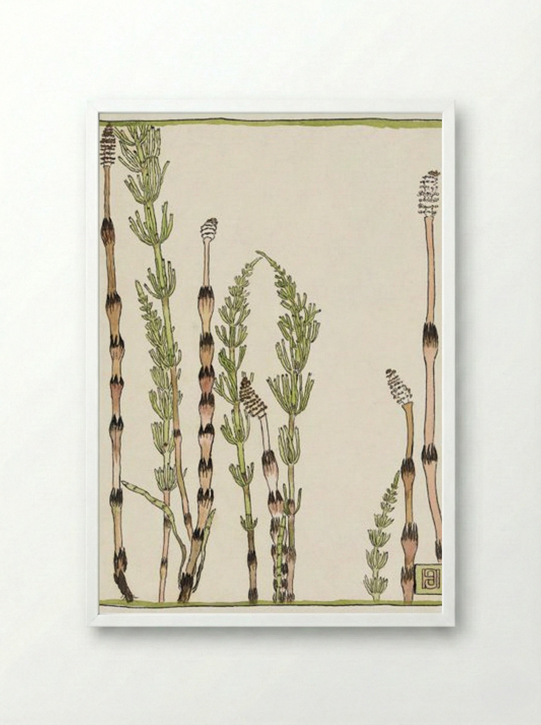 Horsetail - Hannah Borger Overbeck - Framed Print White