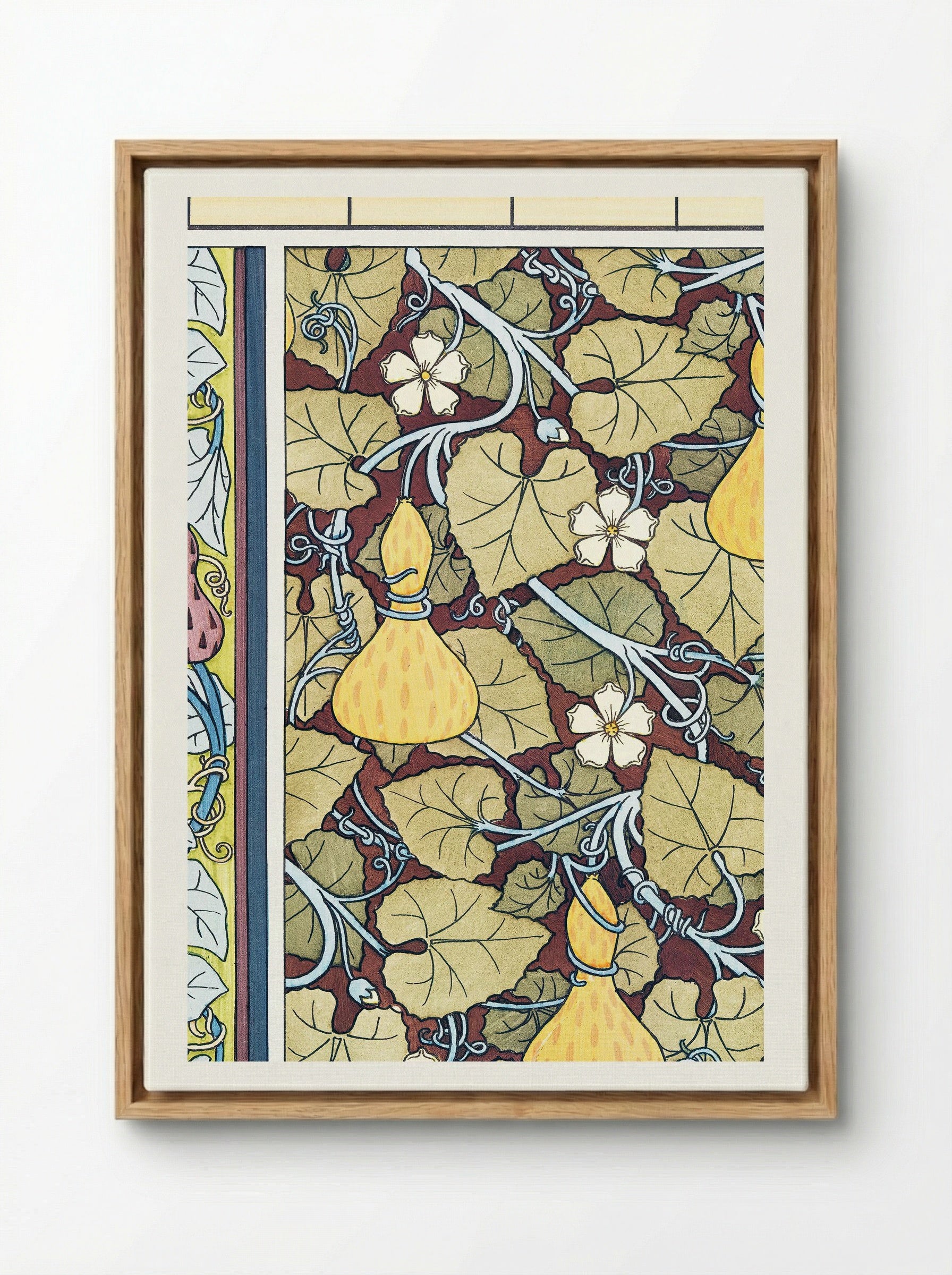 Courge (White-Flowered Gourd, from La Plante et ses Applications ornementales) - Maurice Pillard Verneuil - Framed Canvas Wood