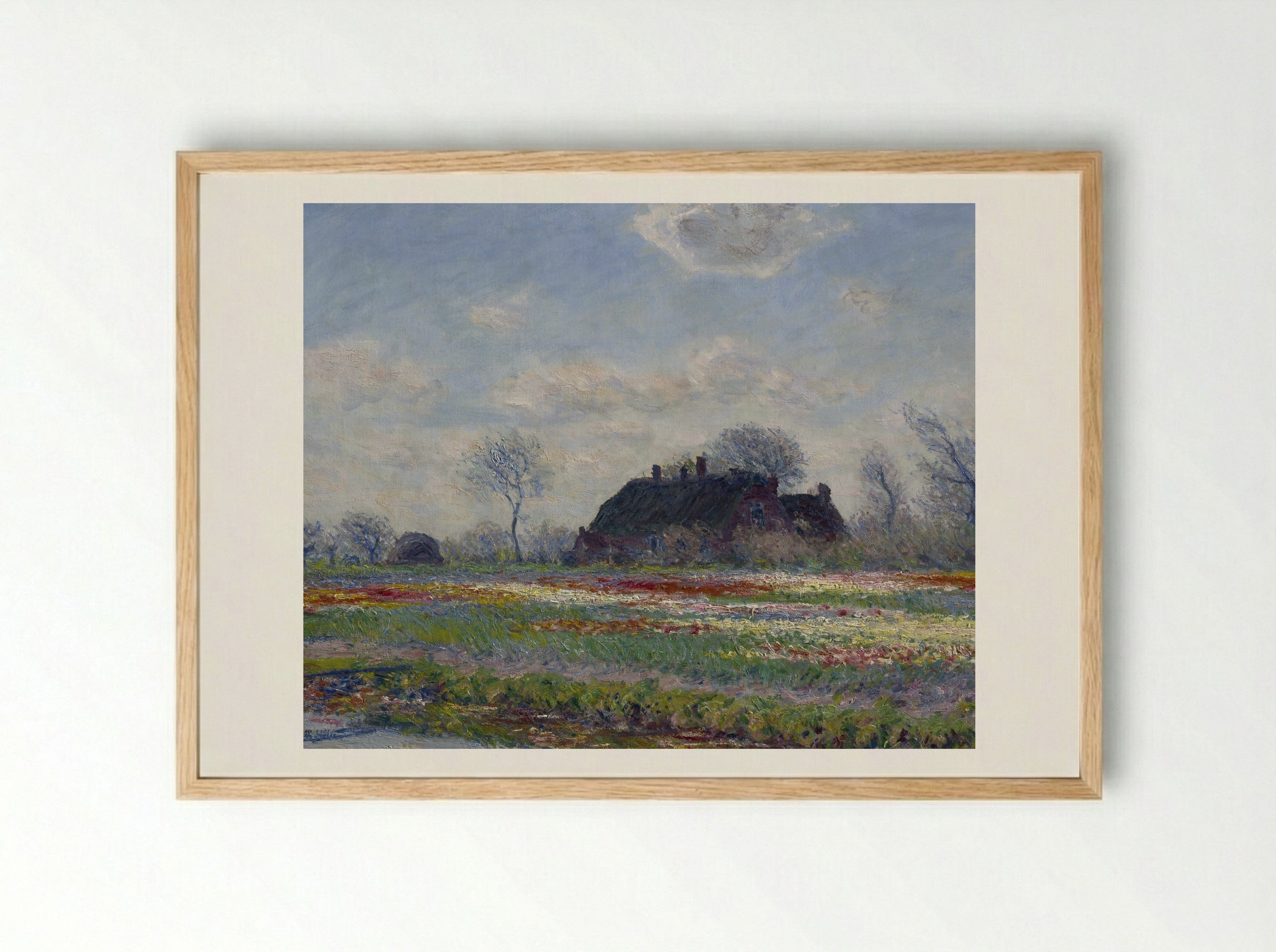 Tulip Fields at Sassenheim - Claude Monet - Framed Print Wood
