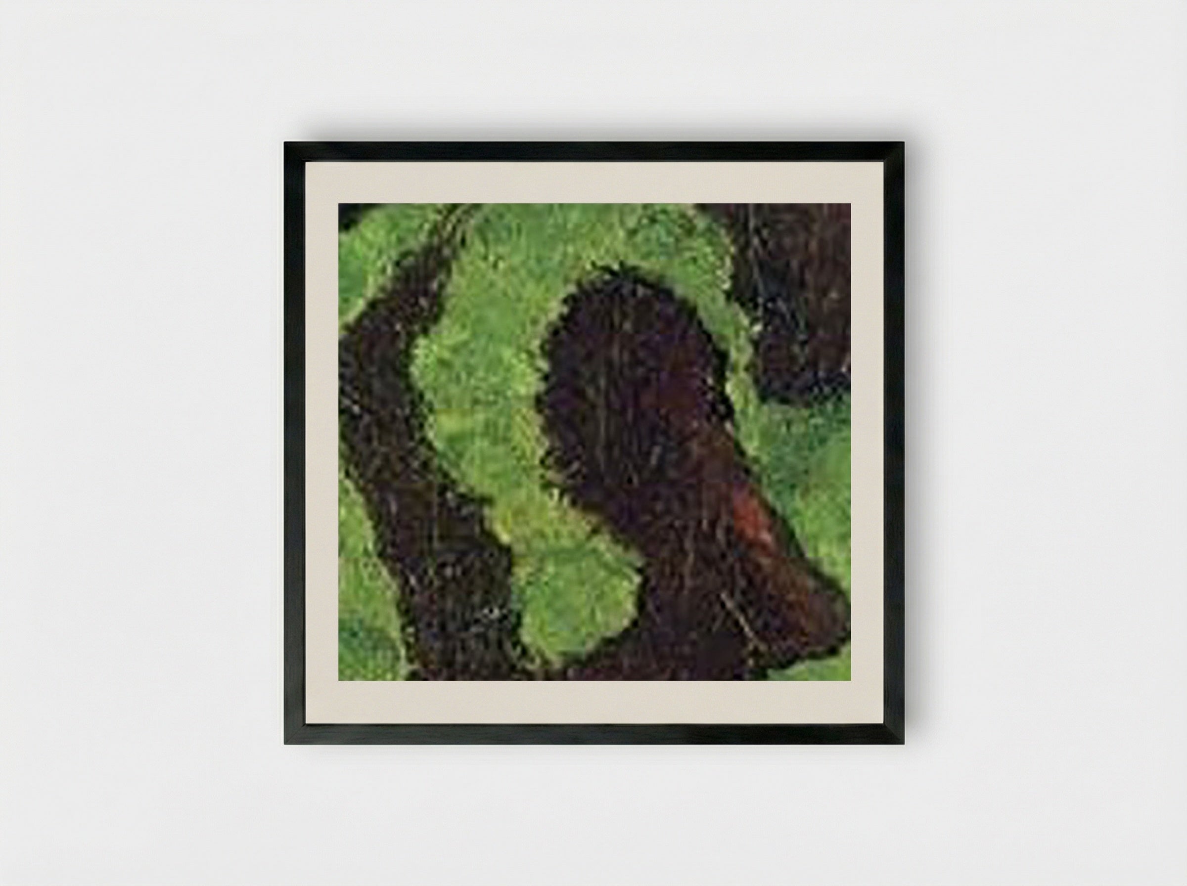 Two Poodles - Pierre Bonnard - Framed Print Black