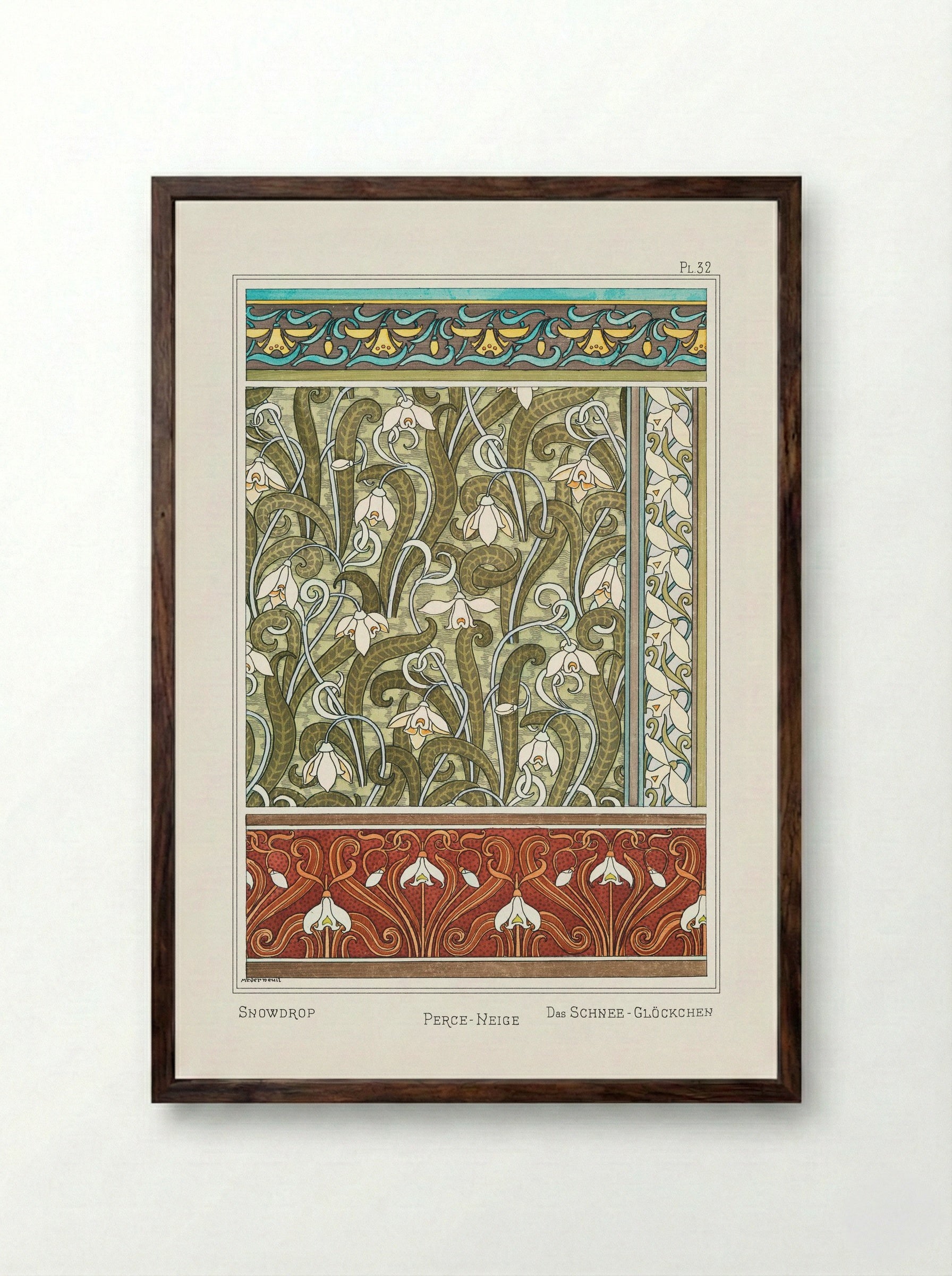 Perce-neige (Snowdrops) from La Plante et ses Applications ornementales - Maurice Pillard Verneuil - Framed Print Dark Wood
