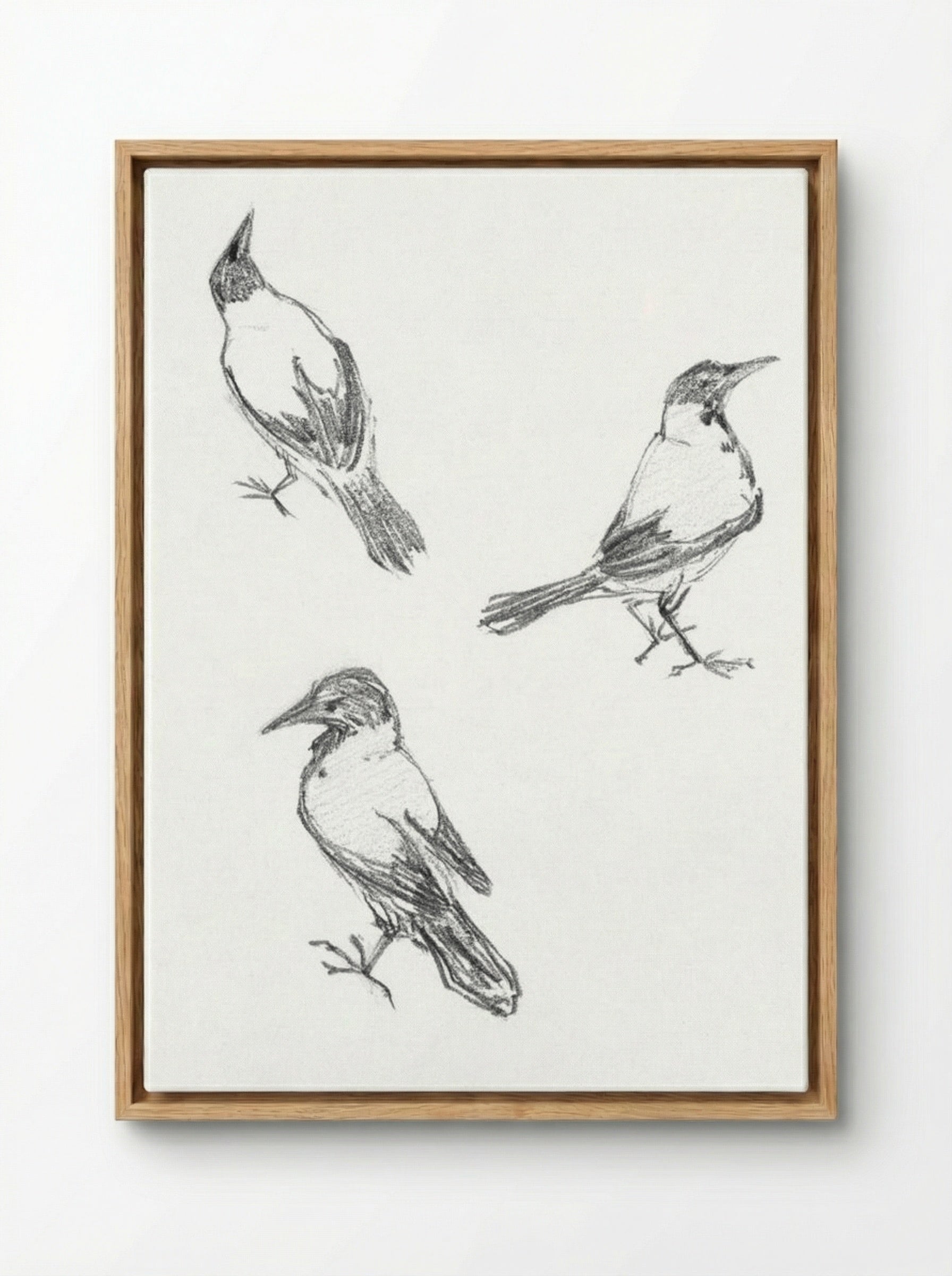 Three Sketches of a Crow - Julie de Graag - Framed Canvas Wood
