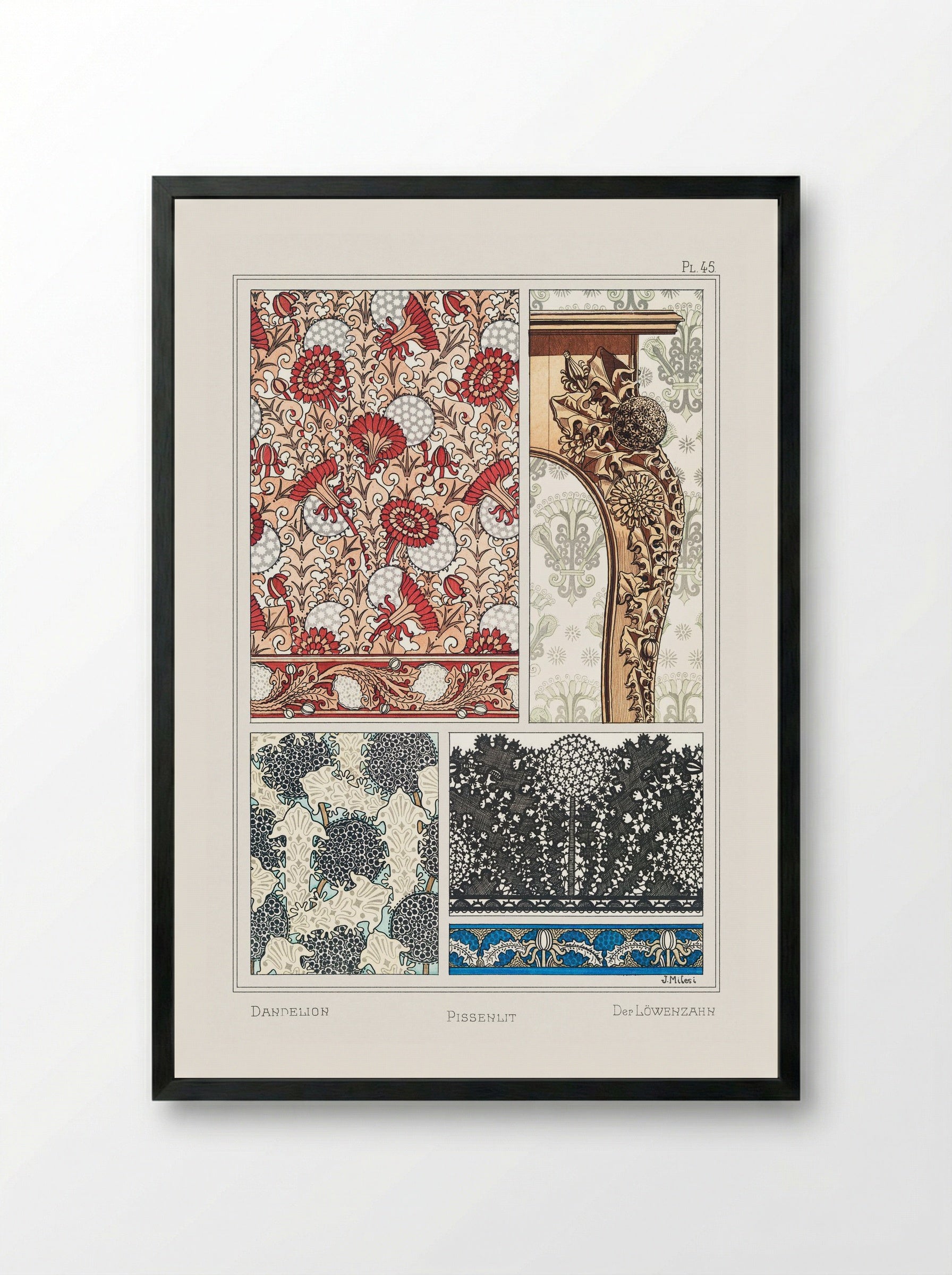 Pissenlit (Dandelion) from La Plante et ses Applications ornementales - Maurice Pillard Verneuil - Framed Print Black