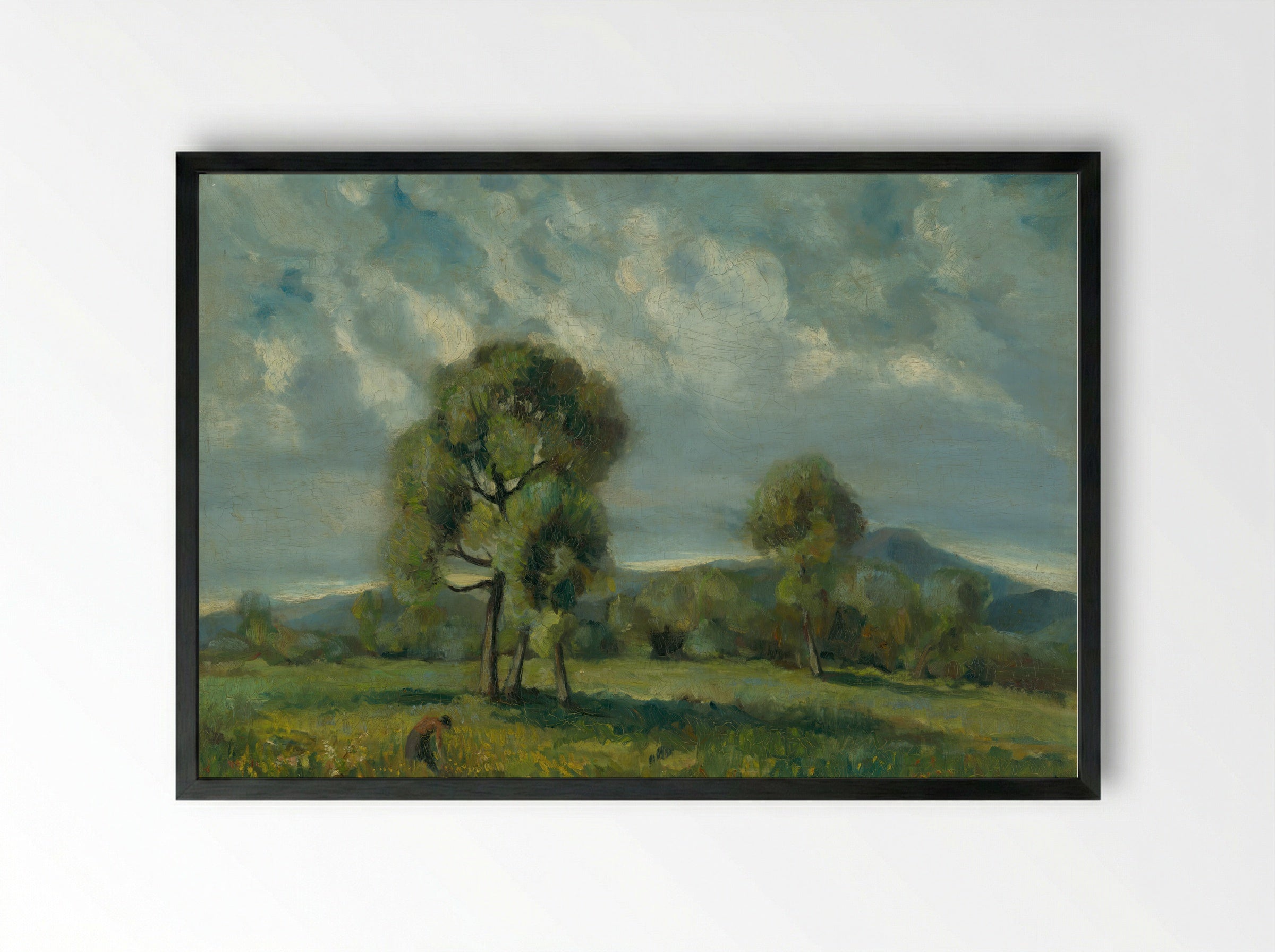 Liptov Landscape with Trees - Zolo Palugyay - Framed Print Black