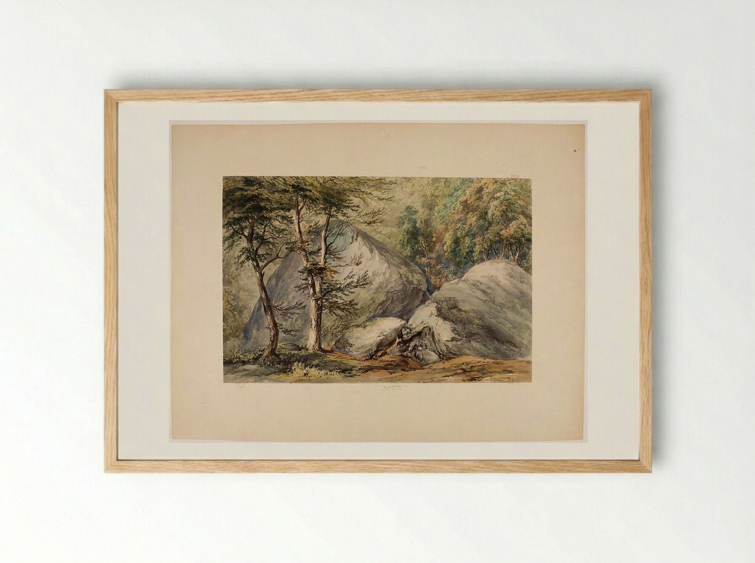 Study of Rocks and Trees - David Roberts - Framed Print Wood