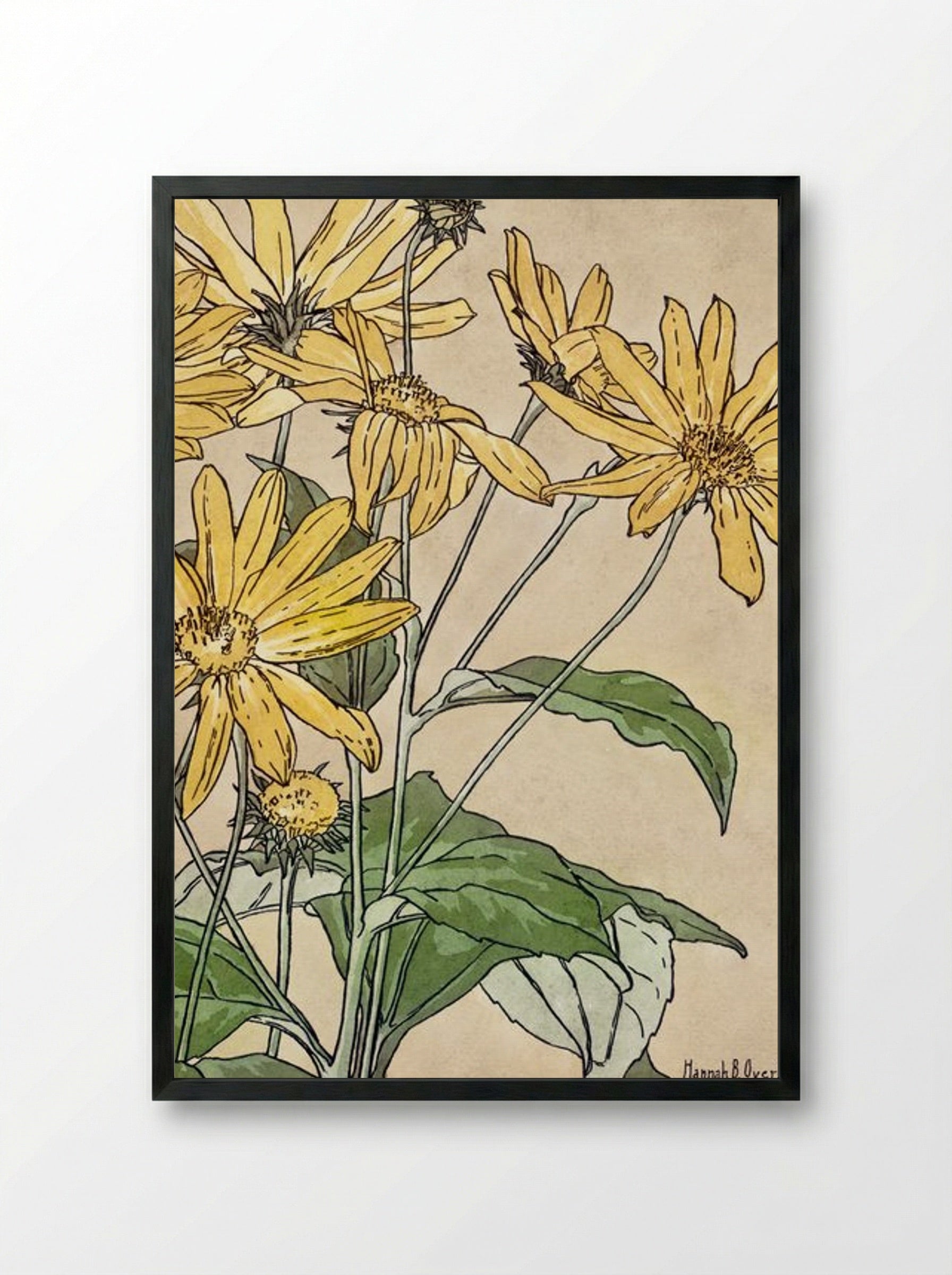 Sunflowers - Hannah Borger Overbeck - Framed Print Black