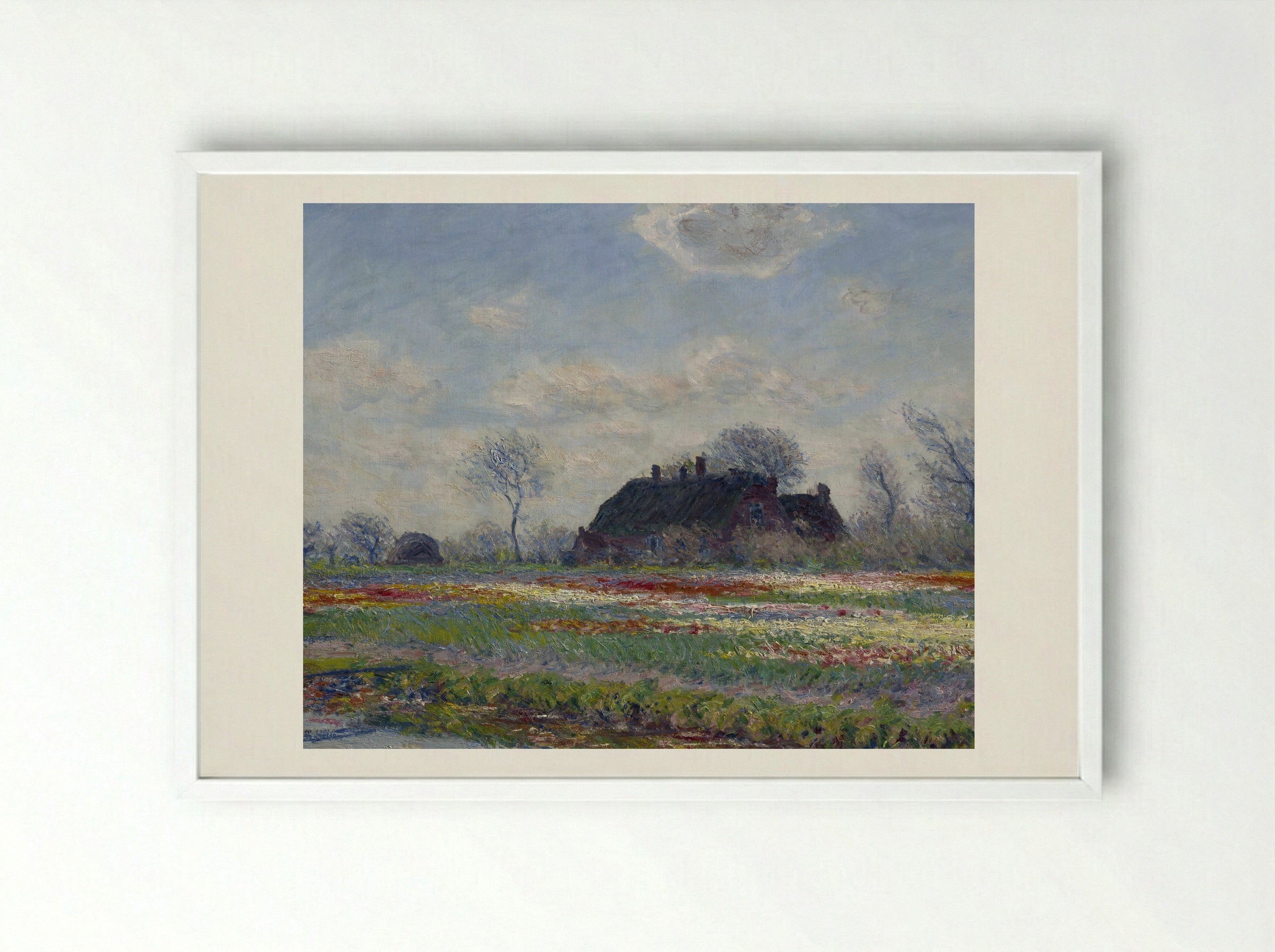 Tulip Fields at Sassenheim - Claude Monet - Framed Print White