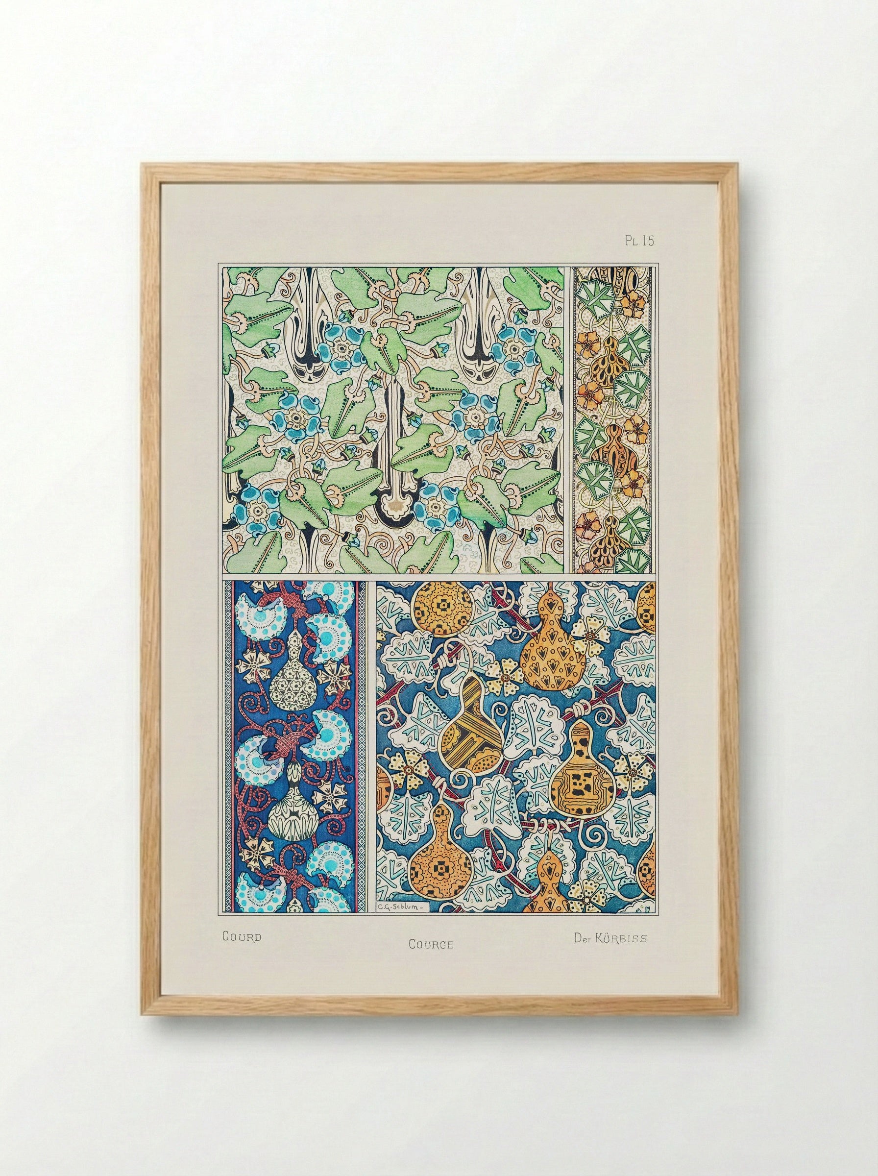 Courge (White-Flowered Gourd) from La Plante et ses Applications ornementales - Maurice Pillard Verneuil - Framed Print Wood