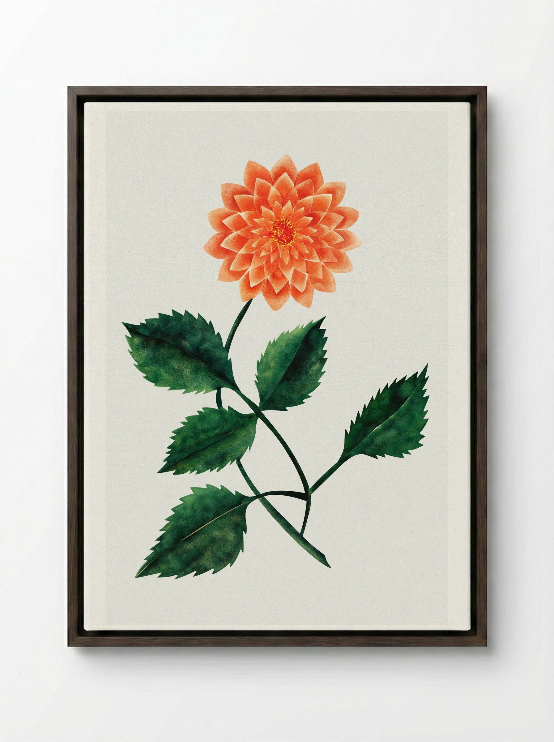 Dahlia - Mary Altha Nims - Framed Canvas Dark Wood