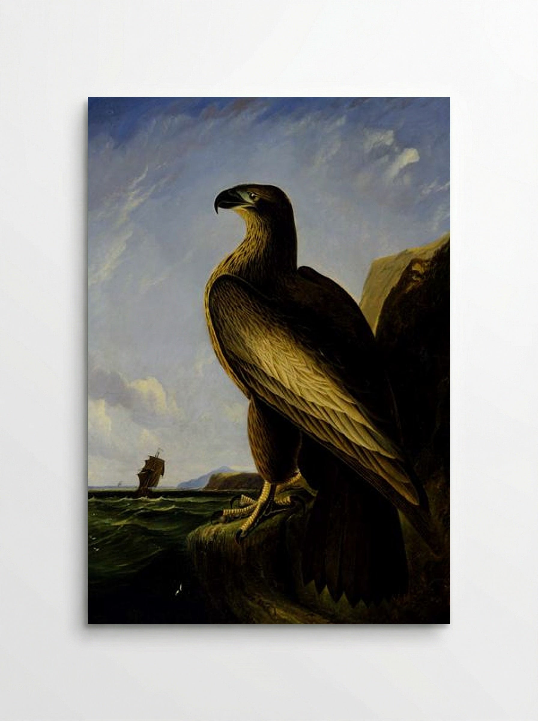Washington Sea Eagle - John James Audubon - Poster