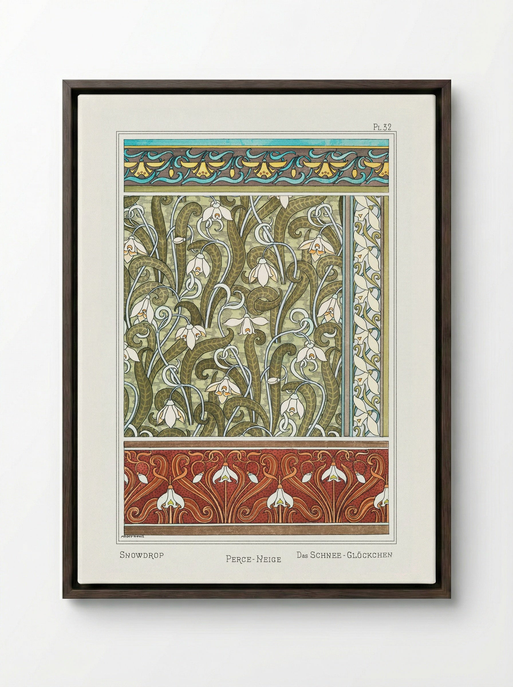 Perce-neige (Snowdrops) from La Plante et ses Applications ornementales - Maurice Pillard Verneuil - Framed Canvas Dark Wood