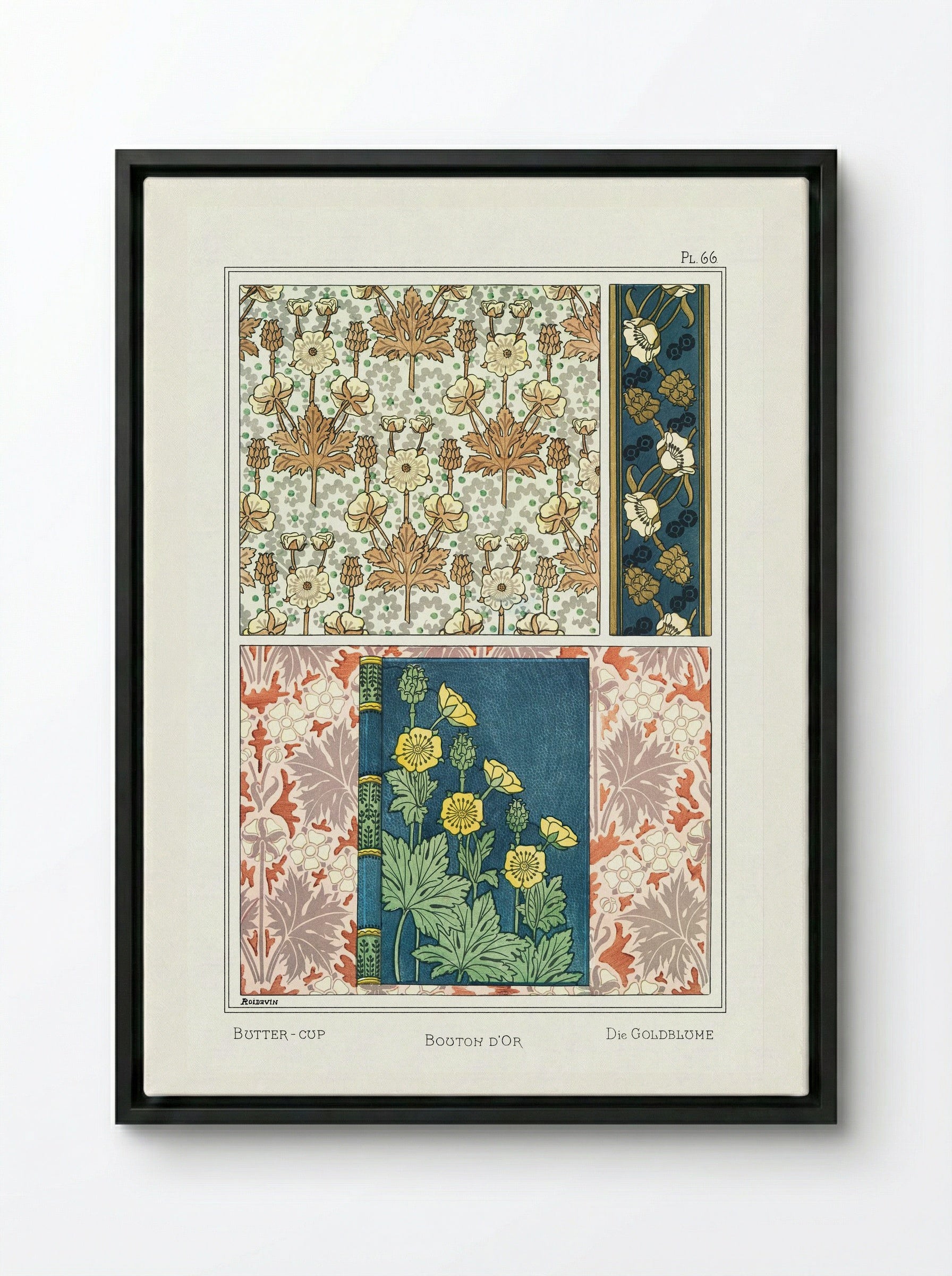 Bouton d'Or (Buttercup) from La Plante et ses Applications ornementales - Maurice Pillard Verneuil - Framed Canvas Black