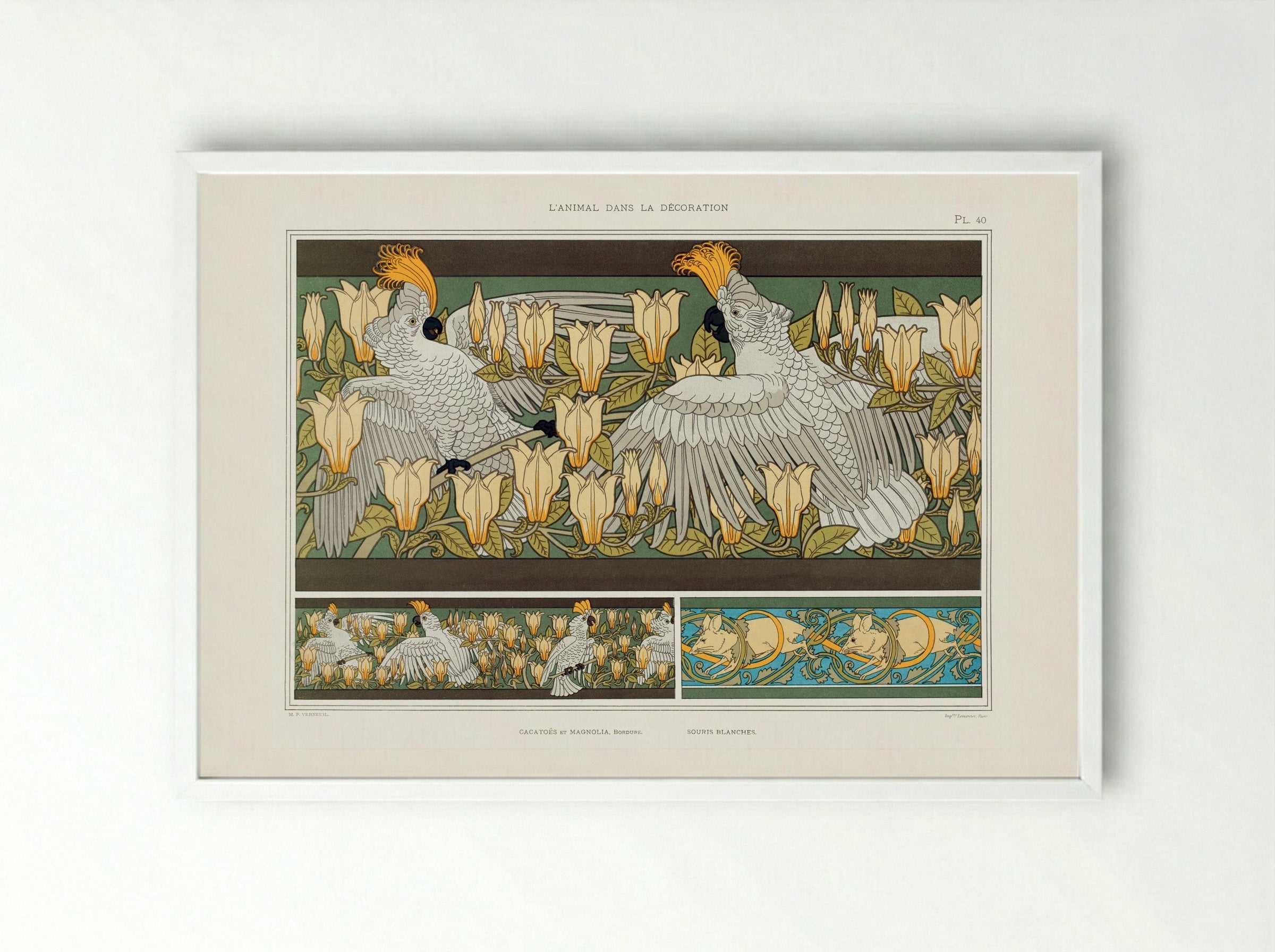Cacatoès et Magnolia, Bordure; Souris Blanches - Maurice Pillard Verneuil - Framed Print White