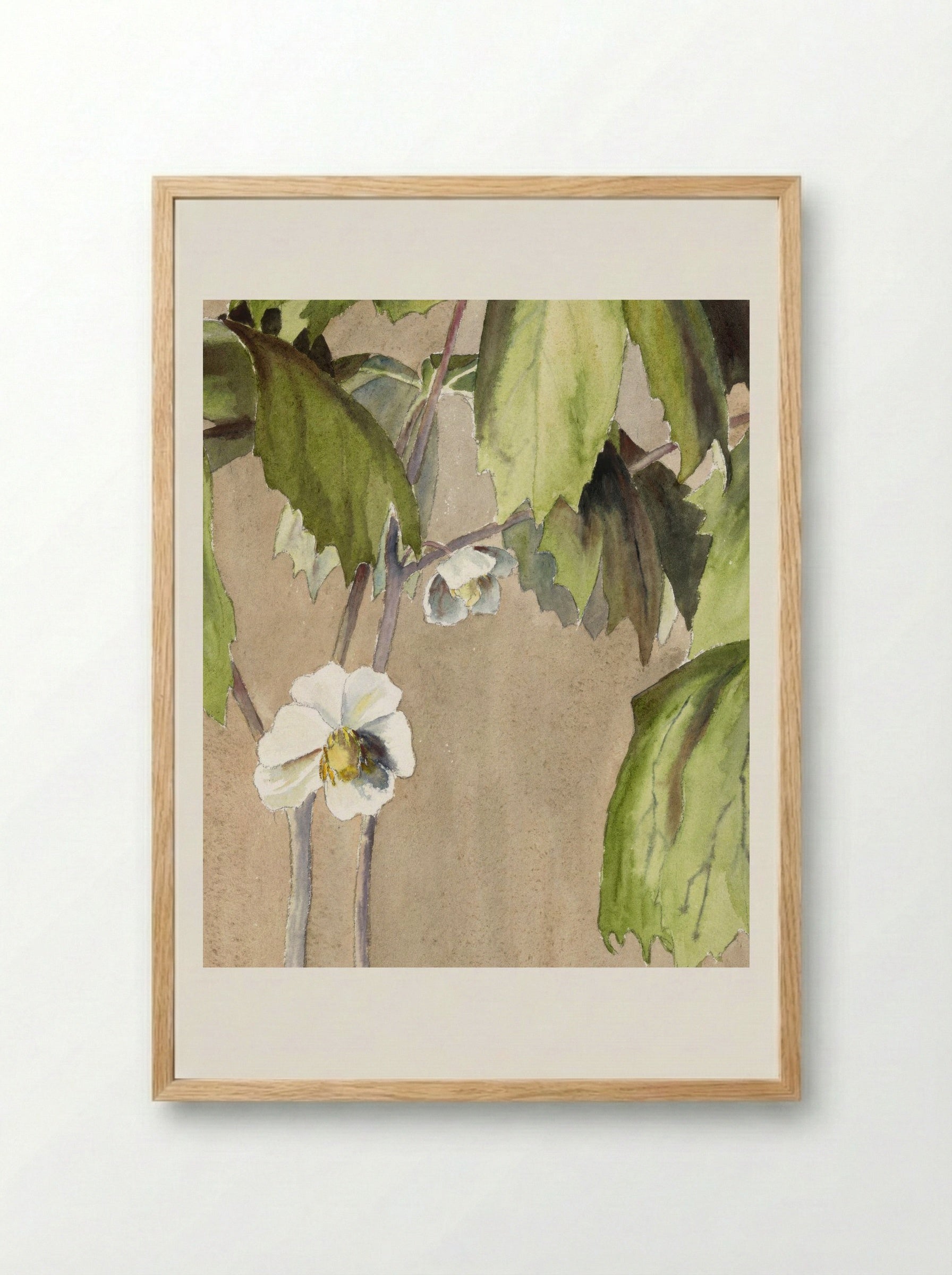 May Apple (1915) - Hannah Borger Overbeck - Framed Print Wood