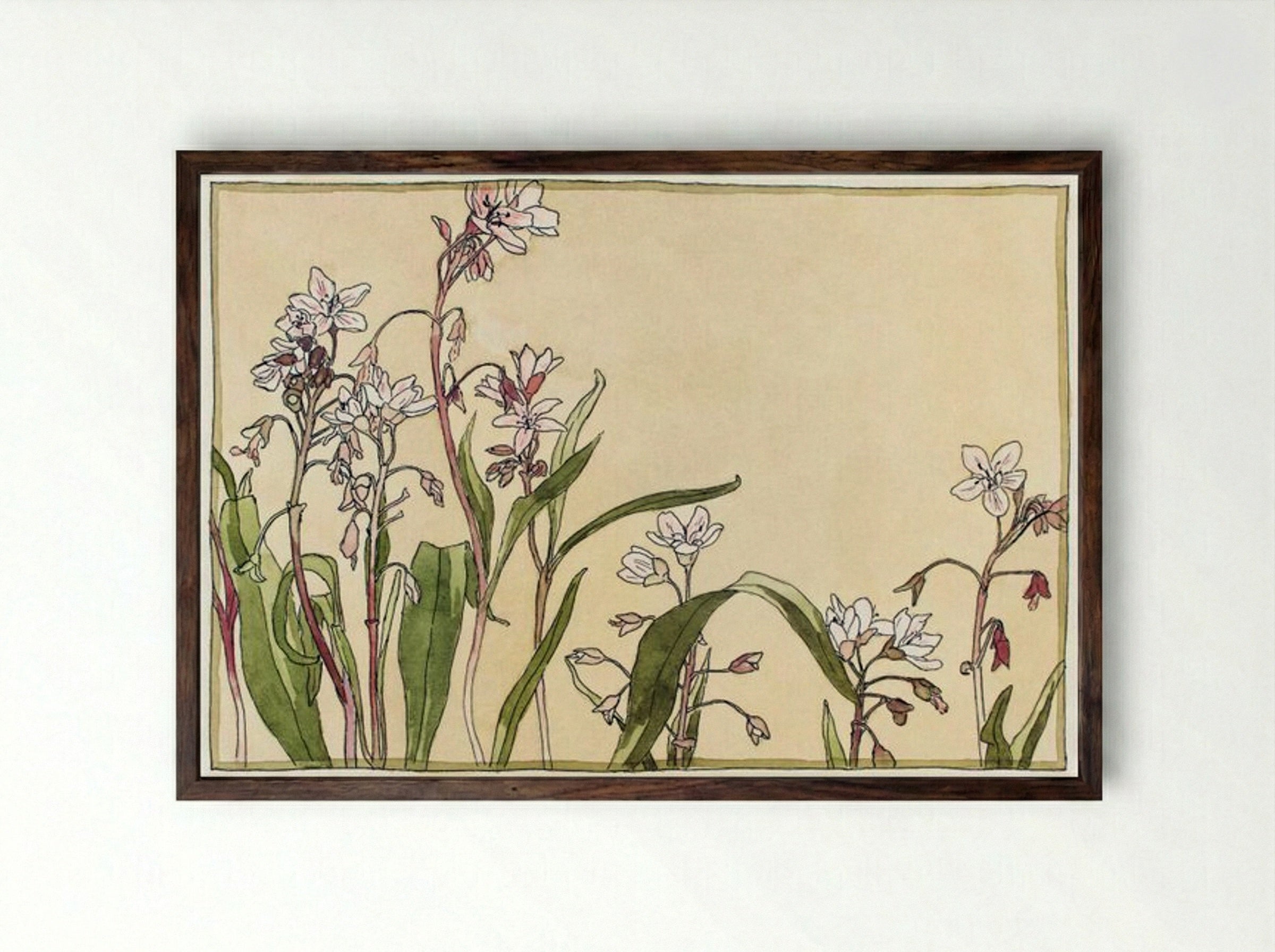 Spring Beauty - Hannah Borger Overbeck - Framed Print Dark Wood