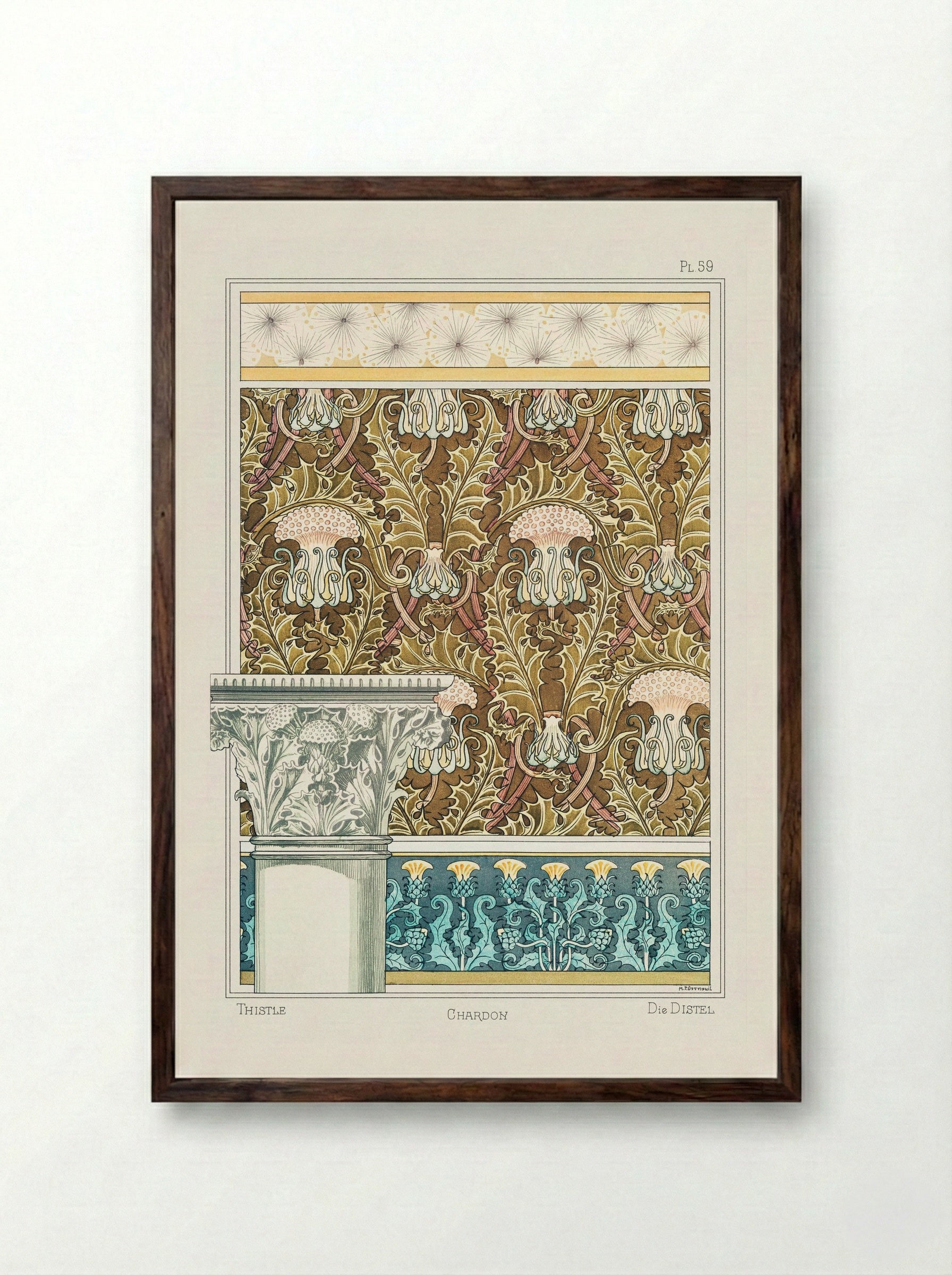 Chardon (Thistle) from La Plante et ses Applications ornementales - Maurice Pillard Verneuil - Framed Print Dark Wood