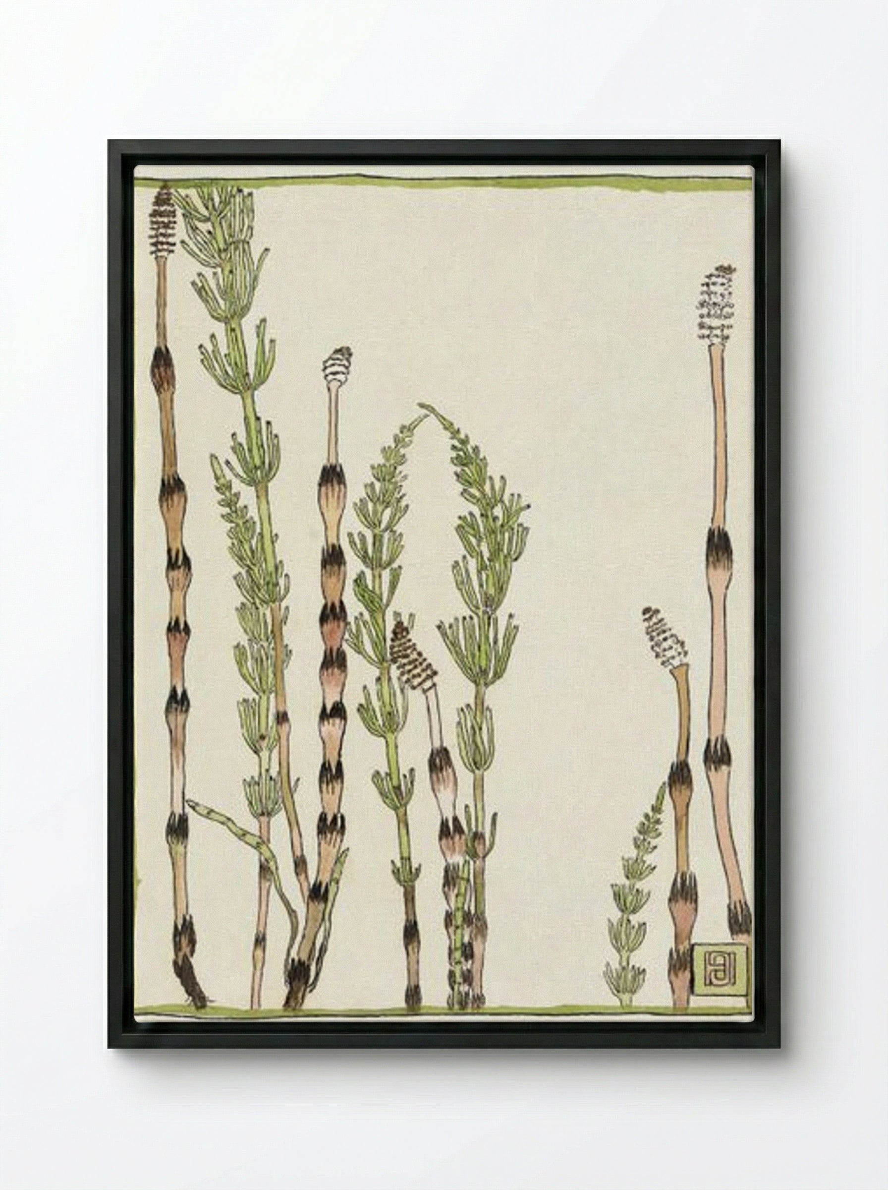 Horsetail - Hannah Borger Overbeck - Framed Canvas Black