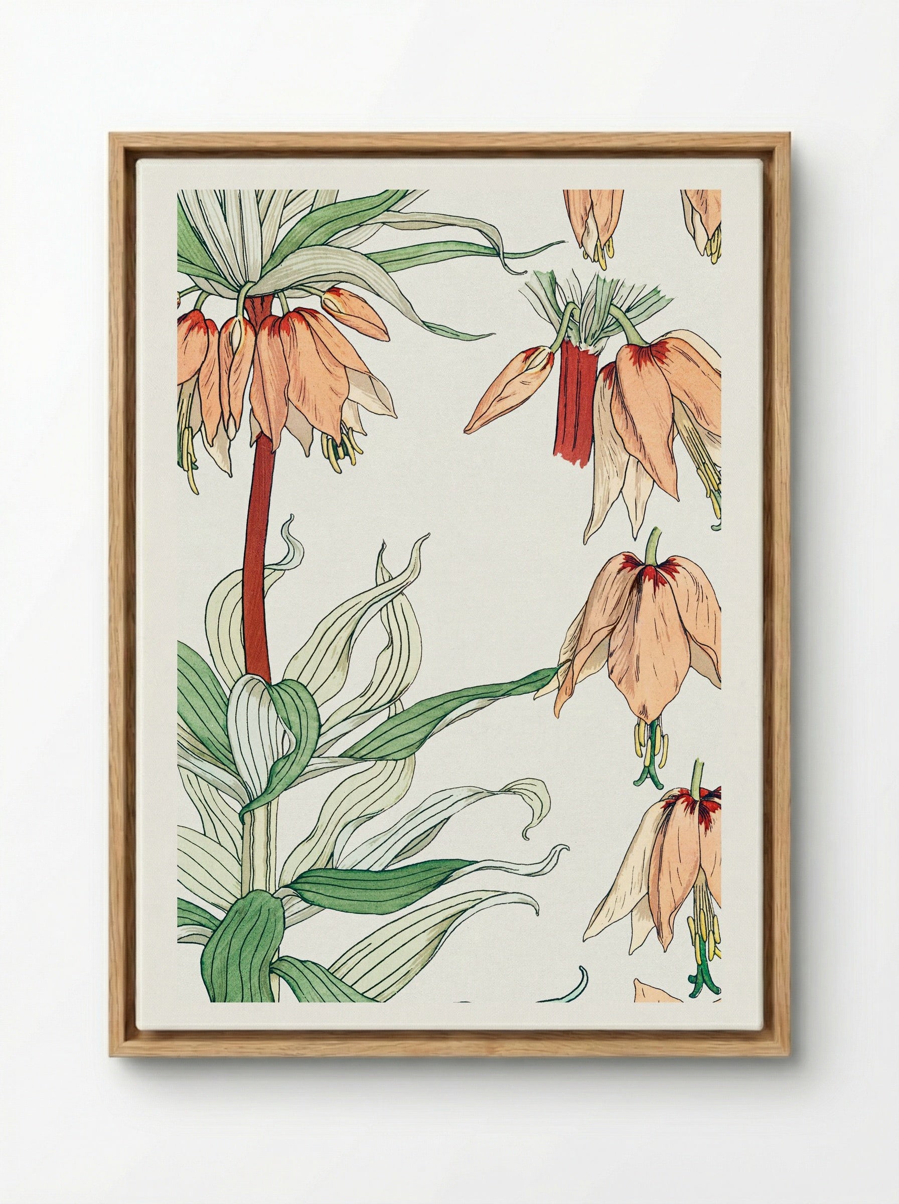 Couronne Impériale (Crown Imperial) - Maurice Pillard Verneuil - Framed Canvas Wood