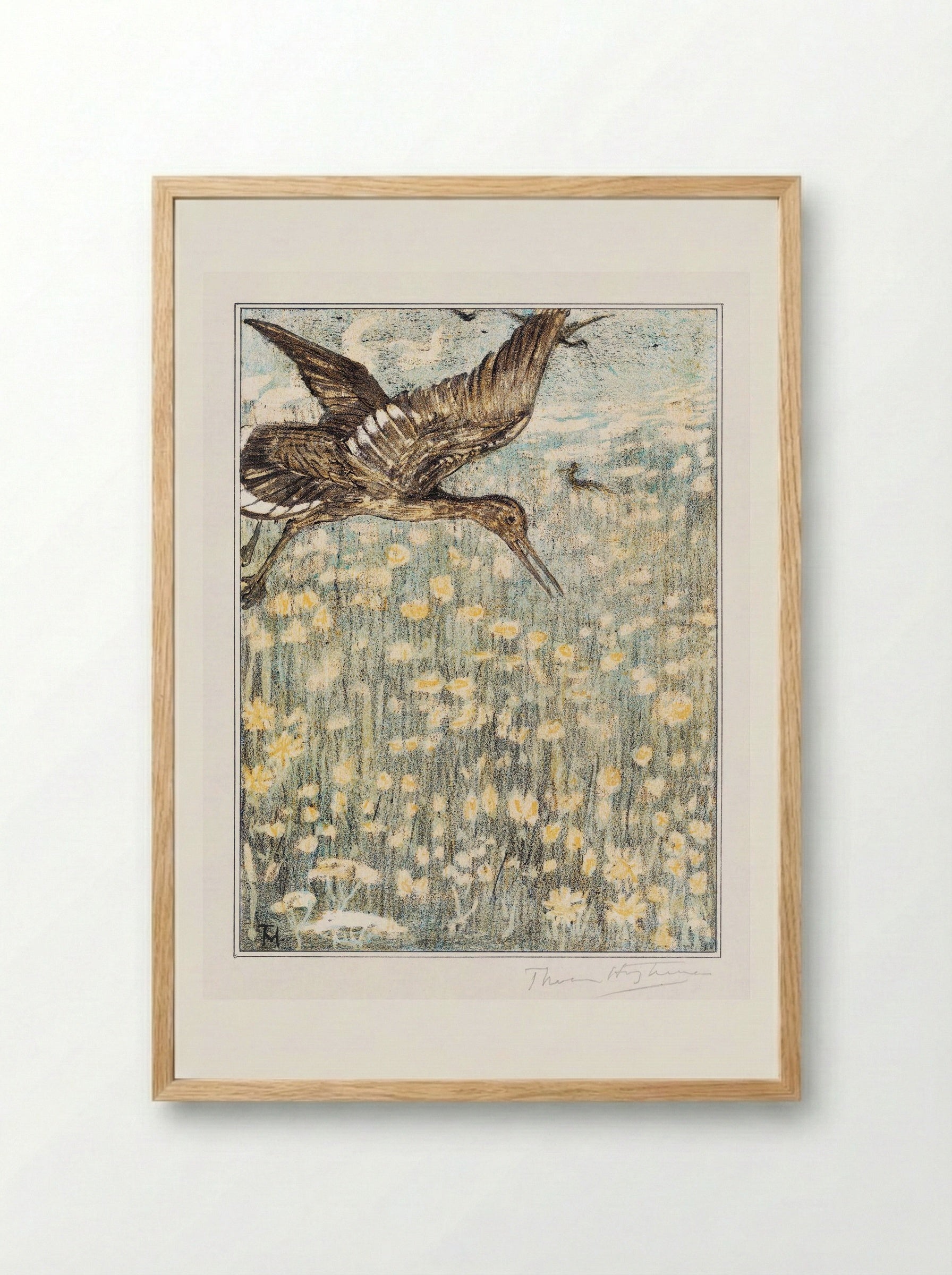 Tureluur (Redshank) - Theo van Hoytema - Framed Print Wood