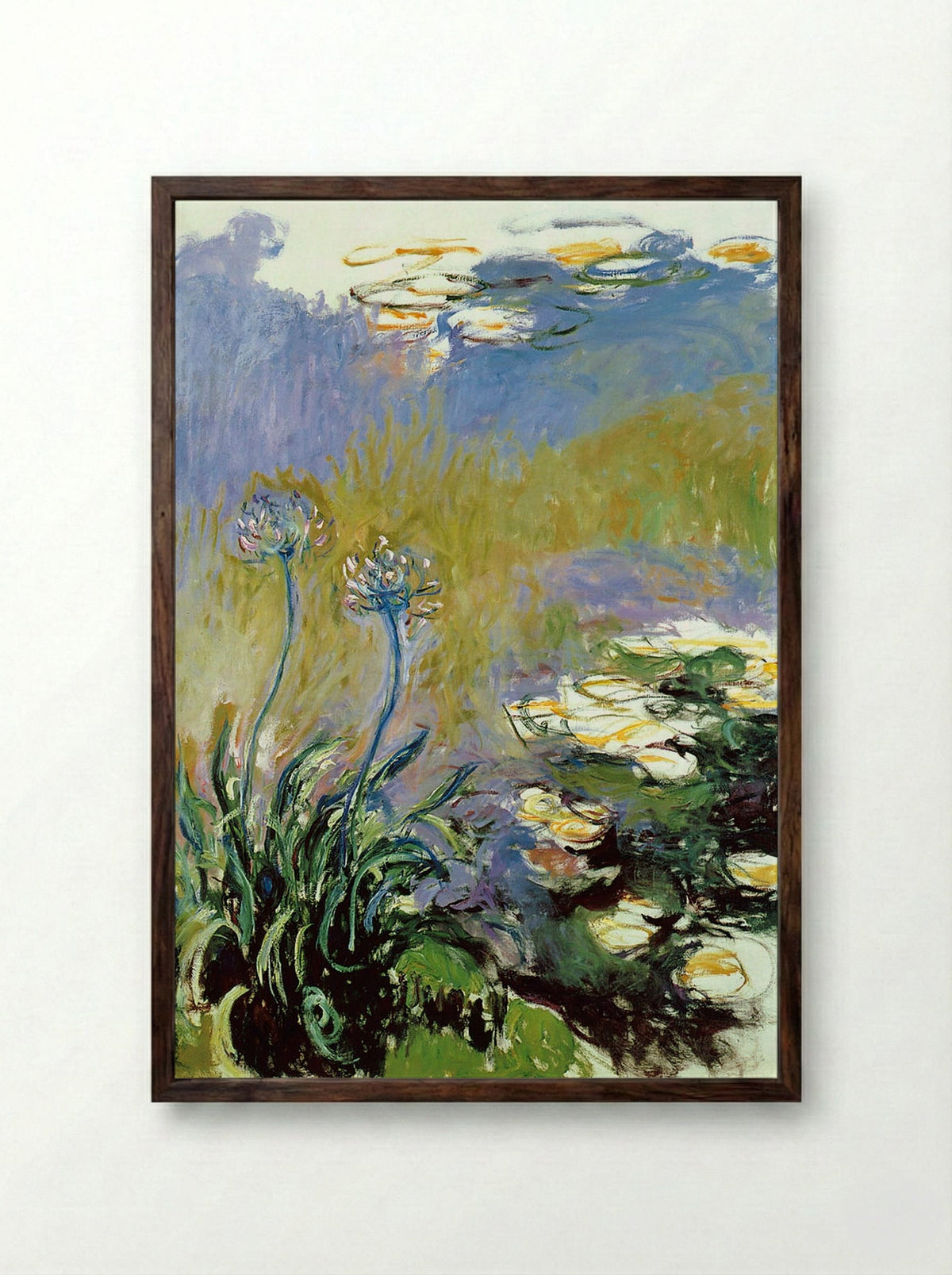 Agapanthus - Claude Monet - Framed Print Dark Wood