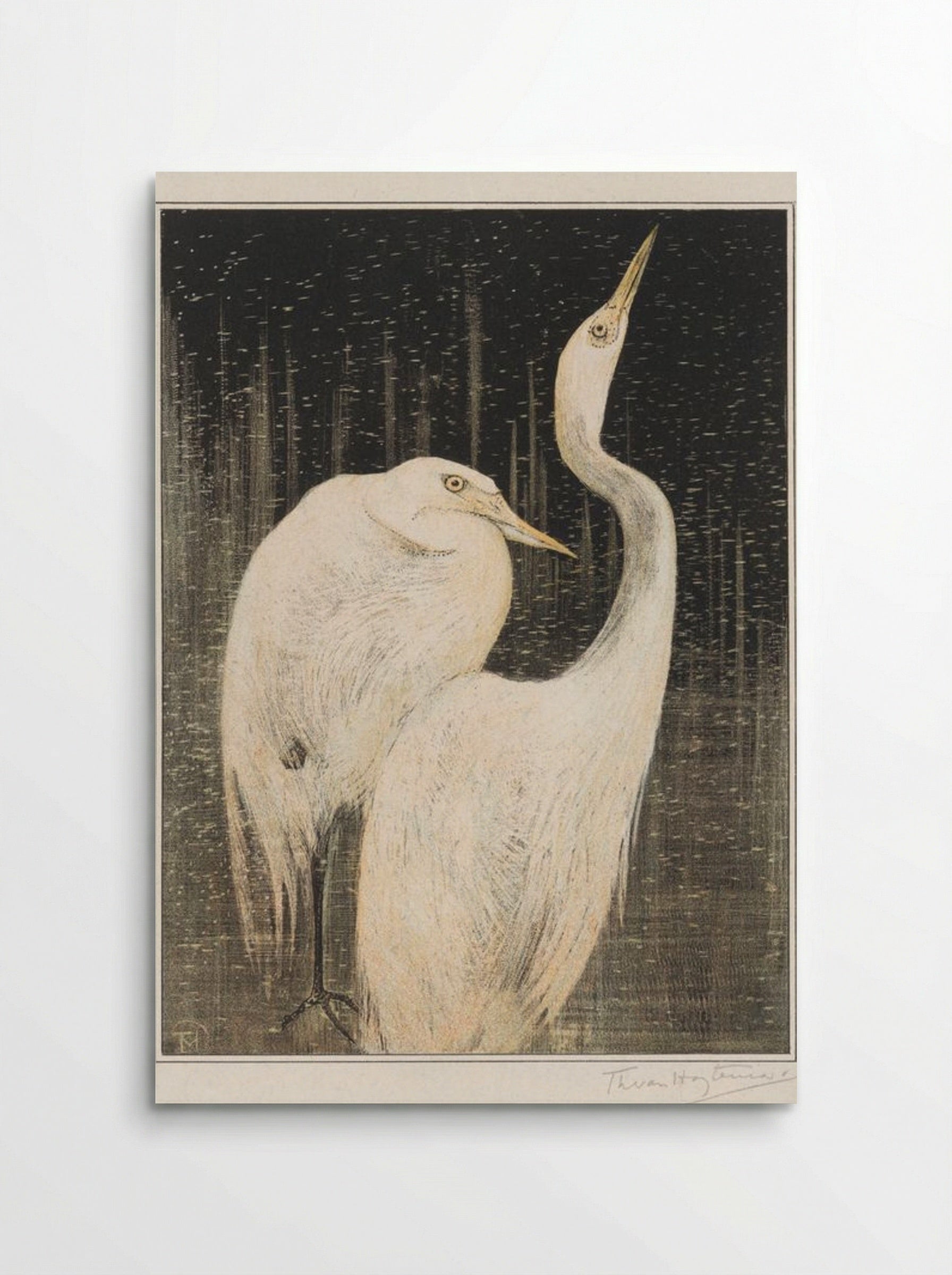 Two Egrets - Theo van Hoytema - Poster