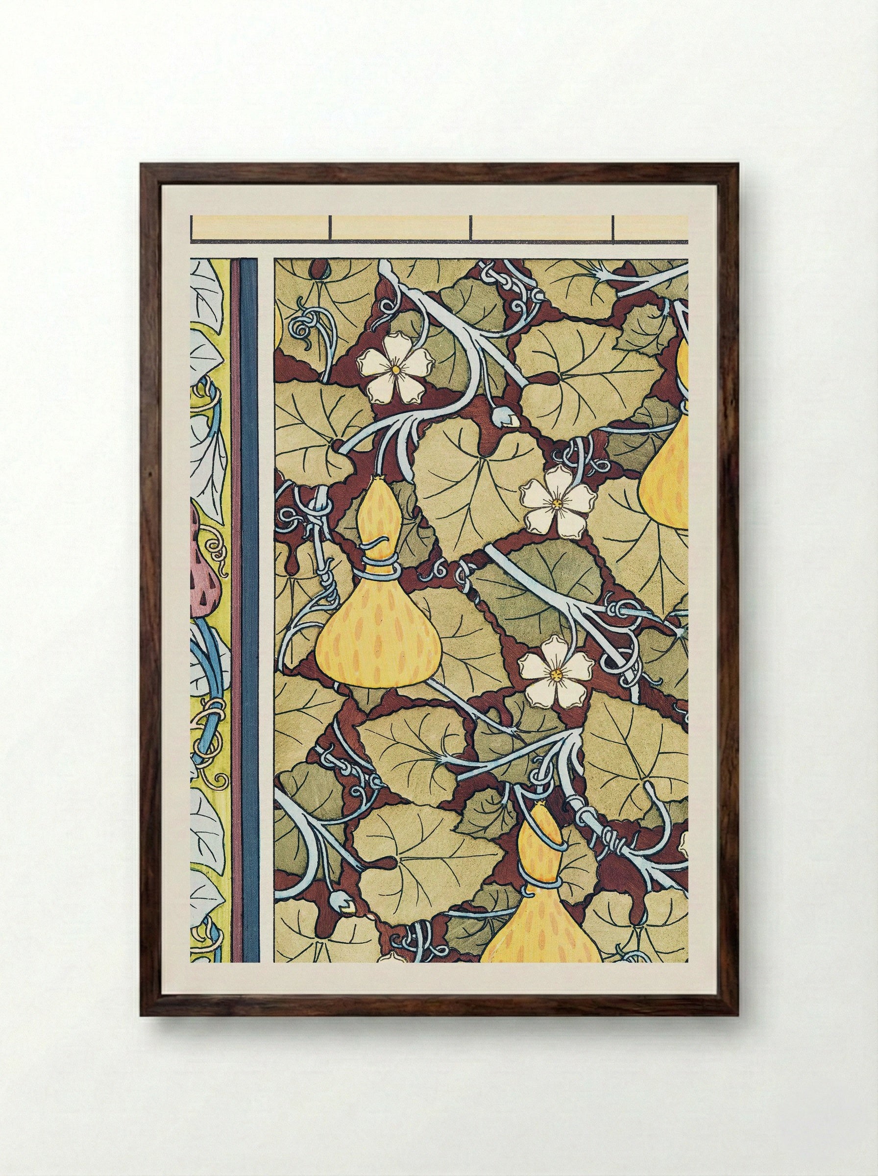 Courge (White-Flowered Gourd, from La Plante et ses Applications ornementales) - Maurice Pillard Verneuil - Framed Print Dark Wood