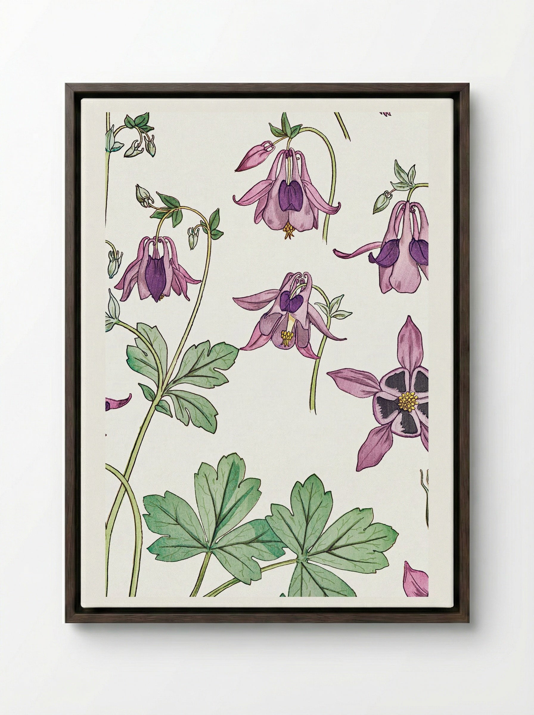 Ancolie (Columbine) - Maurice Pillard Verneuil - Framed Canvas Dark Wood