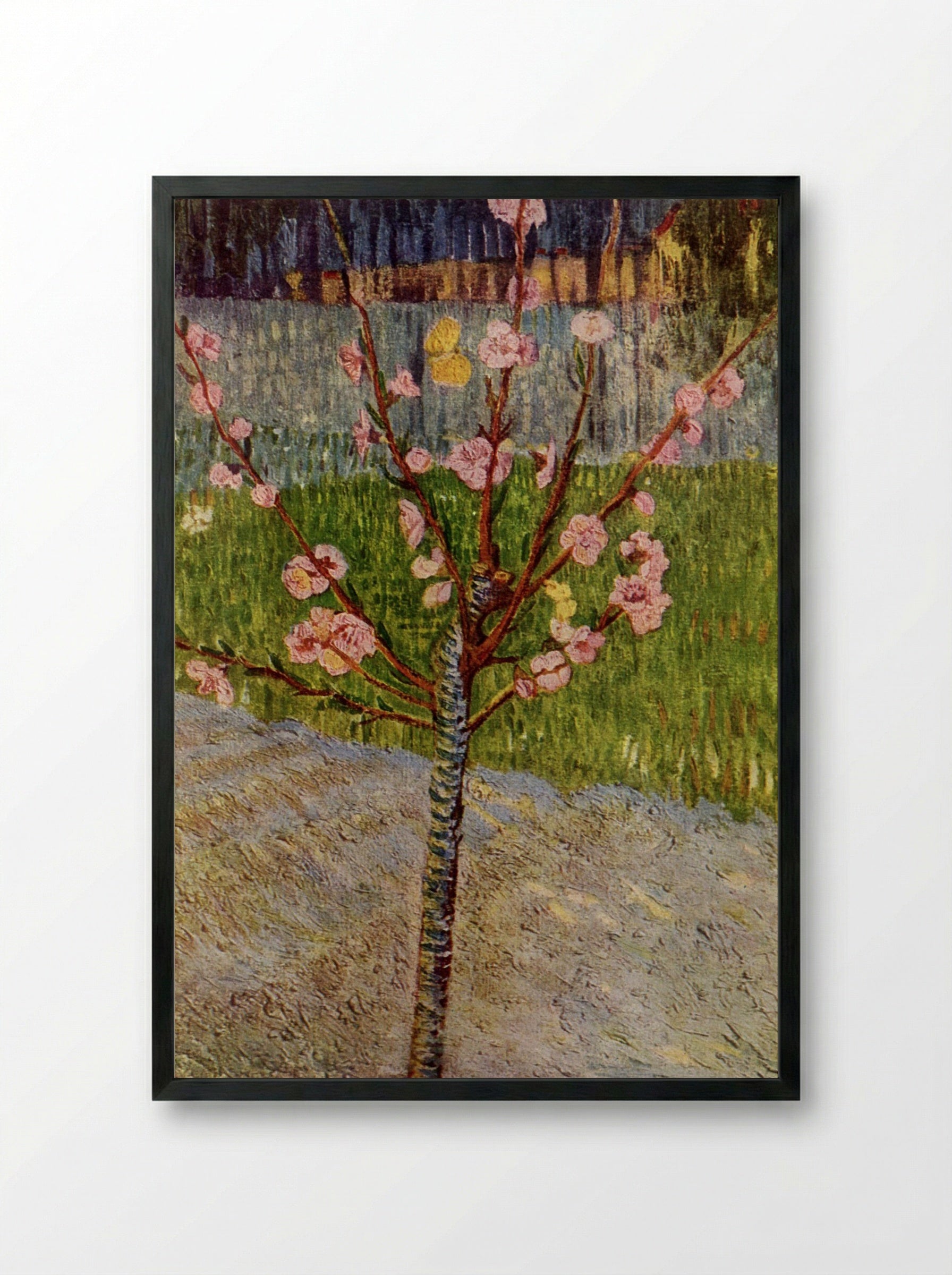 Almond Blossom - Vincent van Gogh - Framed Print Black