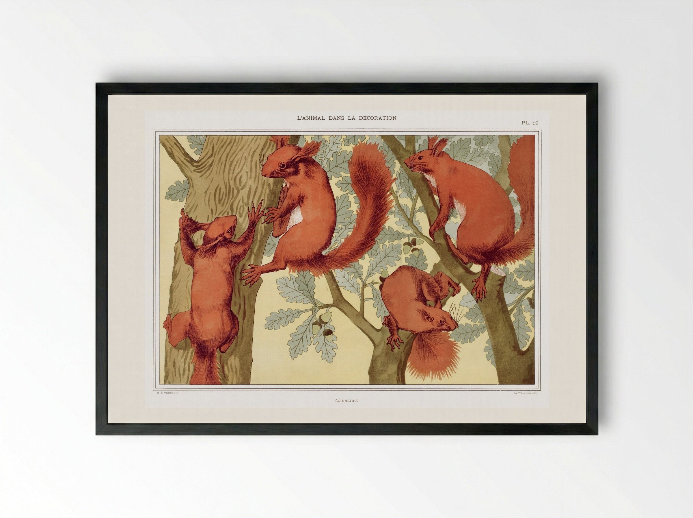 Écureuils (Squirrels) from L'animal dans la décoration - Maurice Pillard Verneuil - Framed Print Black