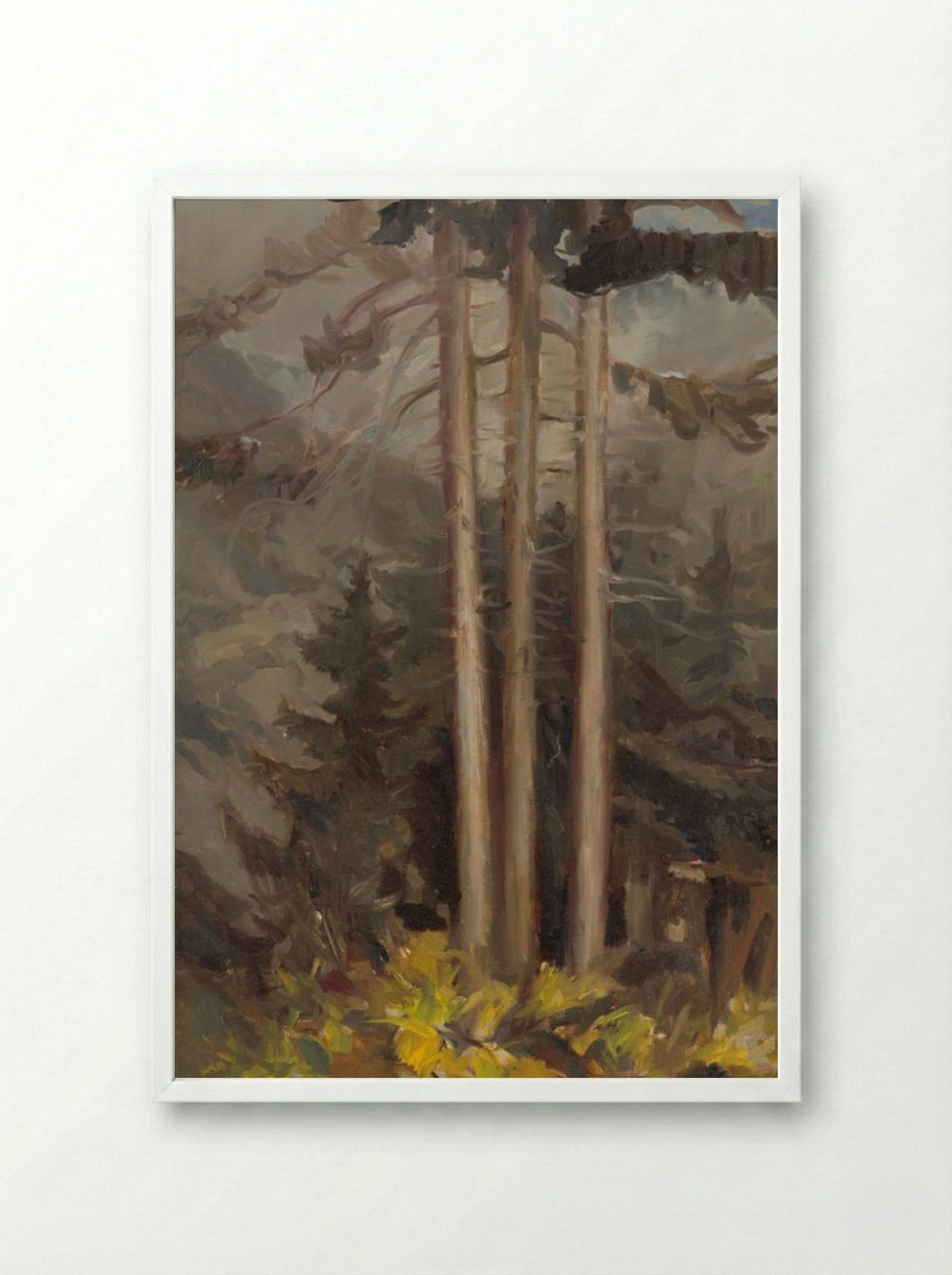 Spruce - Zolo Palugyay - Framed Print White