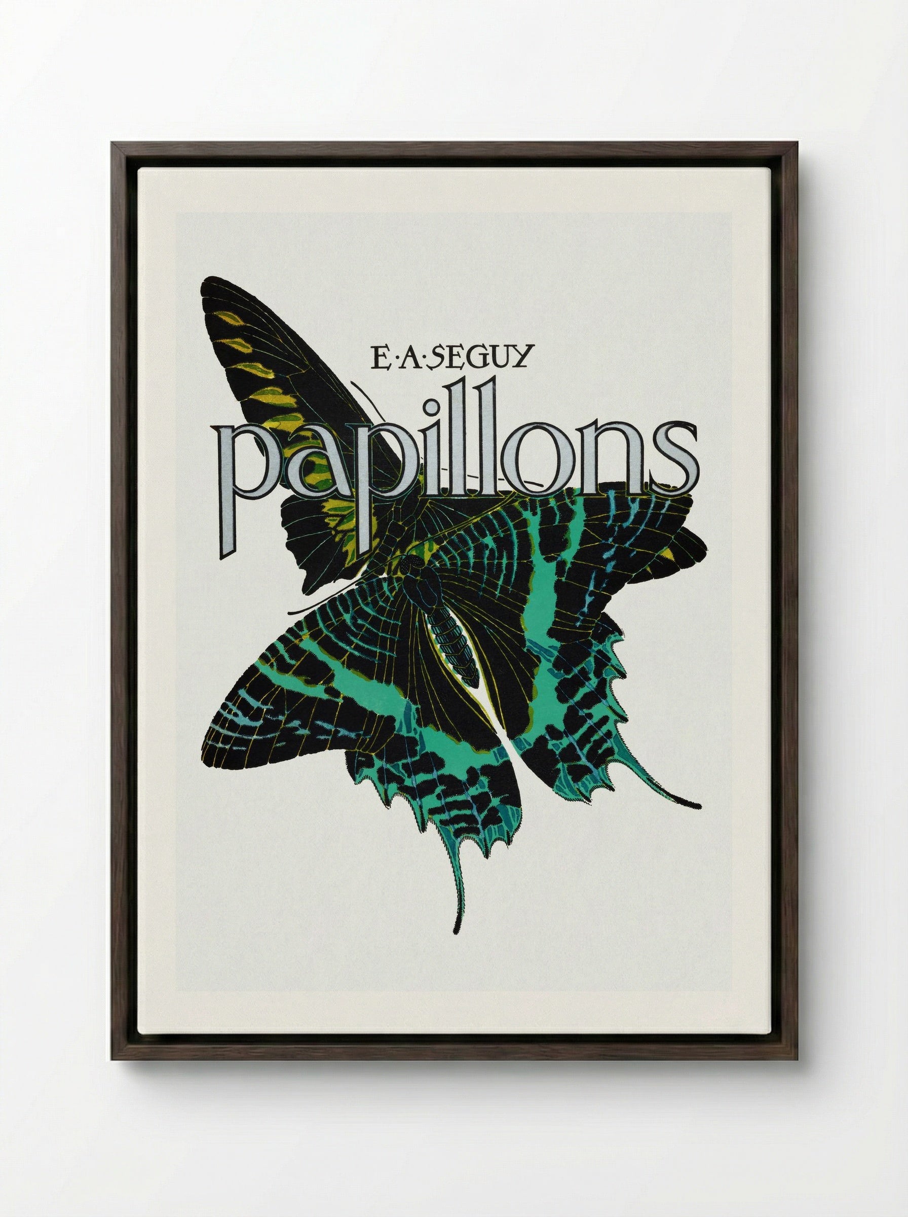 Papillons, Plate No. 1 (Teal and Black Butterfly) - Émile-Allain Séguy - Framed Canvas Dark Wood
