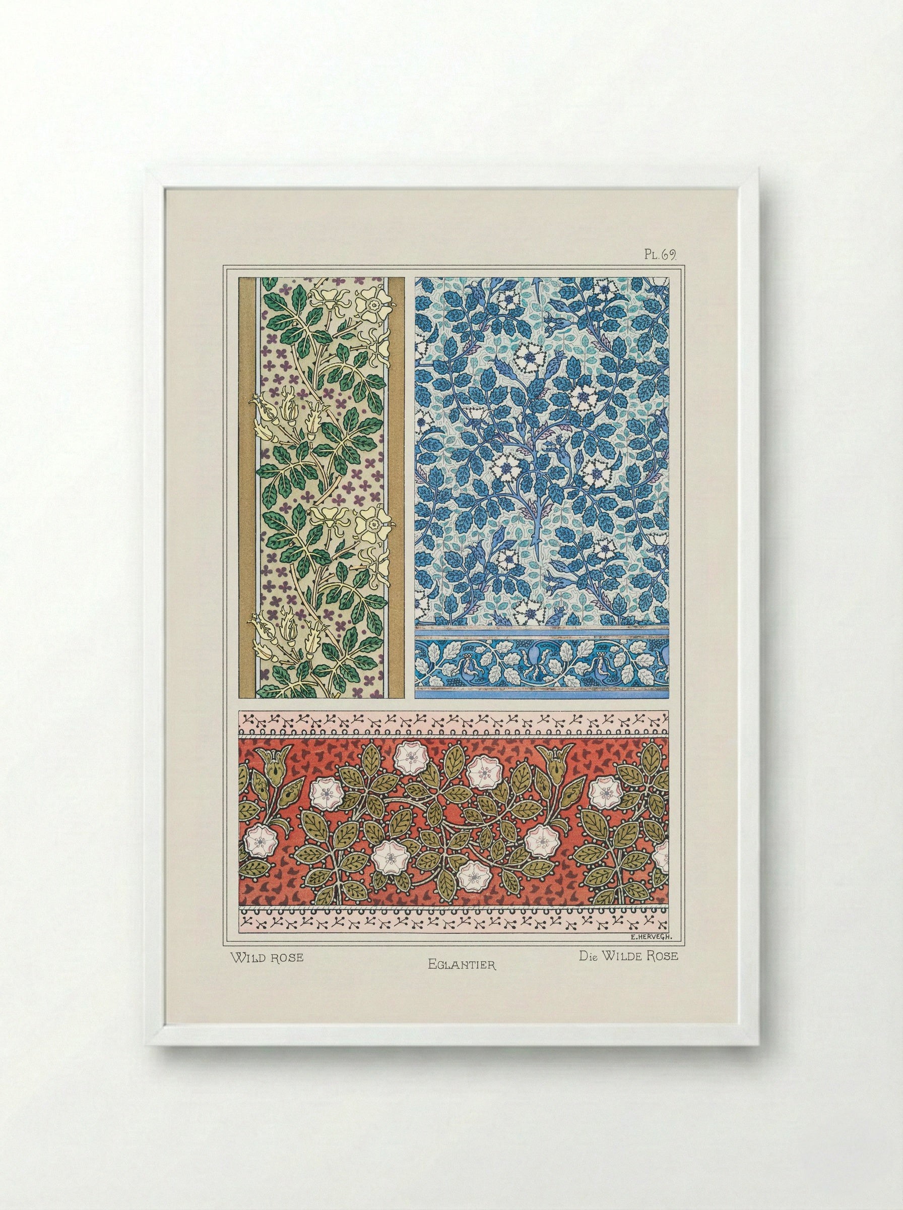 Eglantier (Wild Rose) from La Plante et ses Applications ornementales - Maurice Pillard Verneuil - Framed Print White