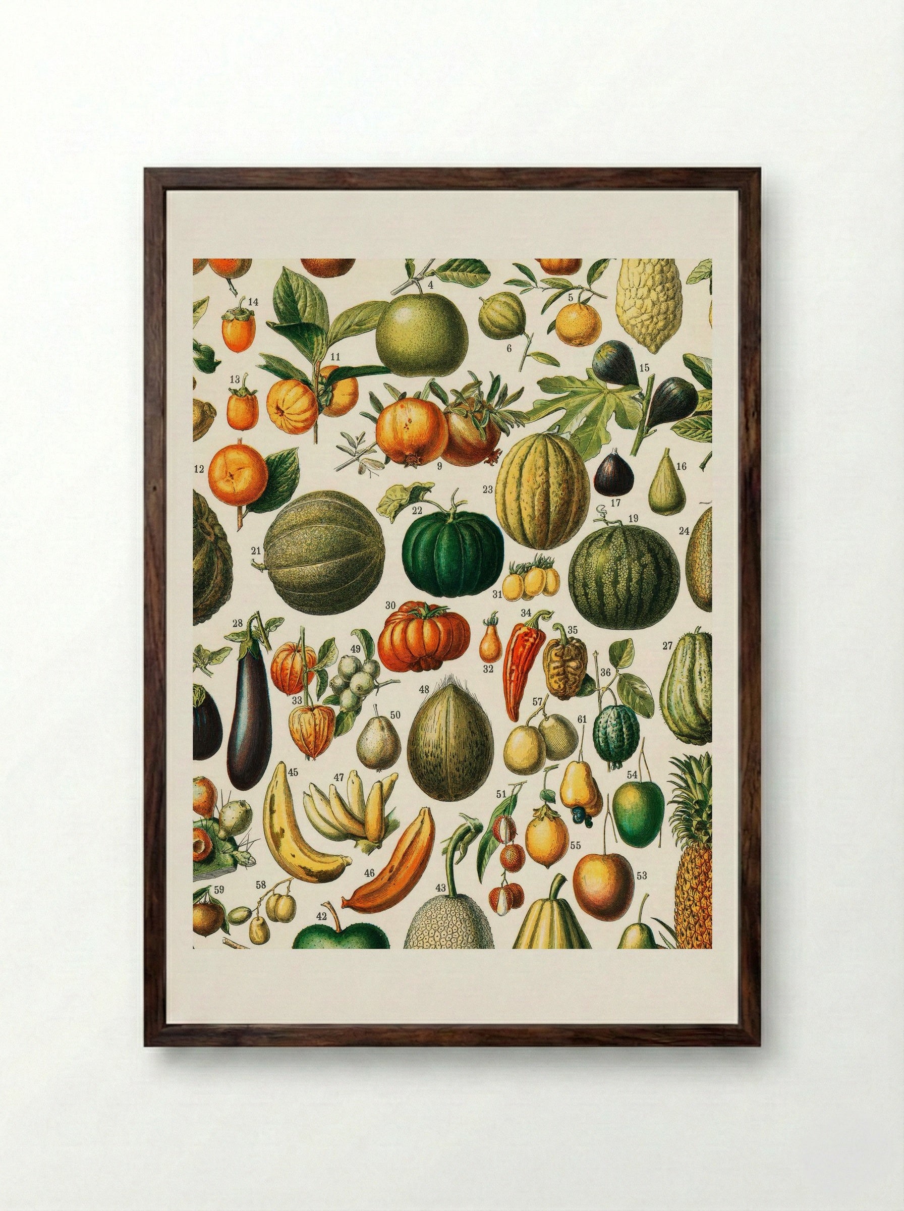 Fruits (from Nouveau Larousse Illustré) - Adolphe Millot - Framed Print Dark Wood