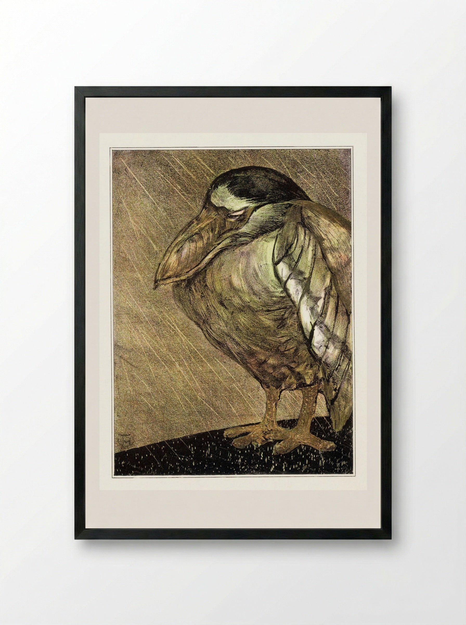 Schuitbekreiger in de regen (Night Heron in the Rain) - Theodorus van Hoytema - Framed Print Black
