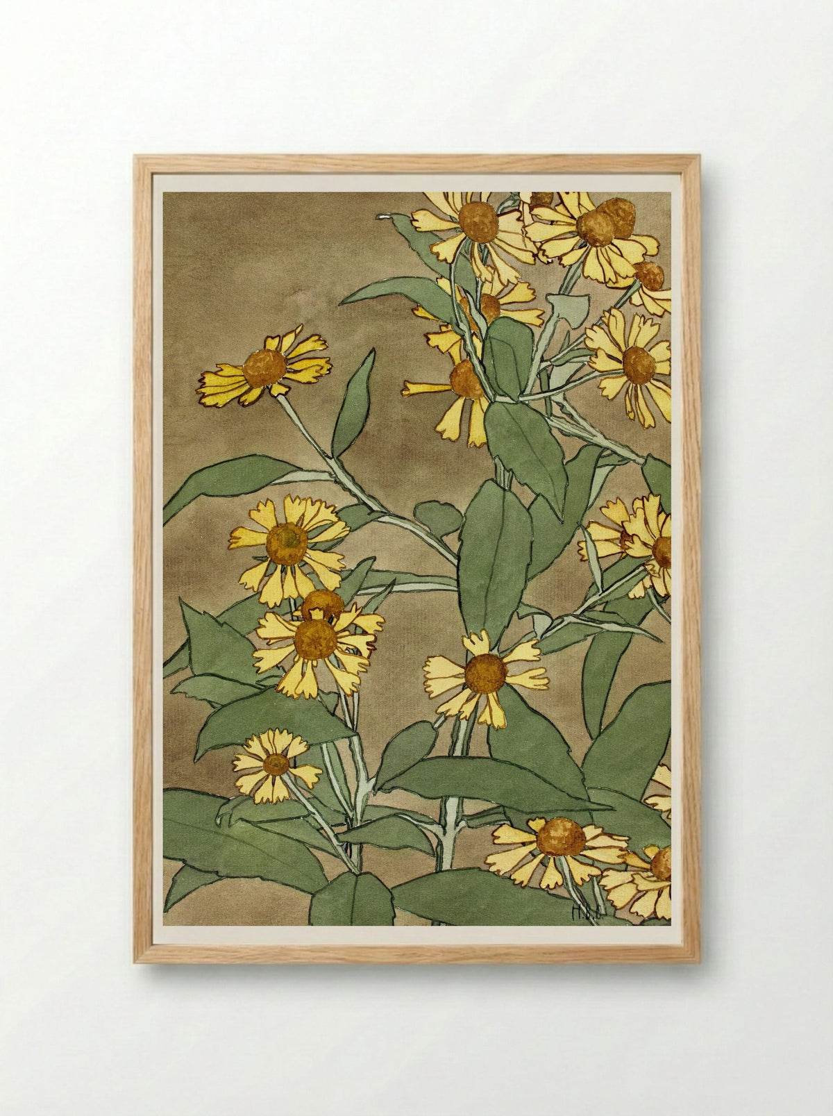Daisies with Orange Center and Yellow Petals - Hannah Borger Overbeck - Framed Print Wood
