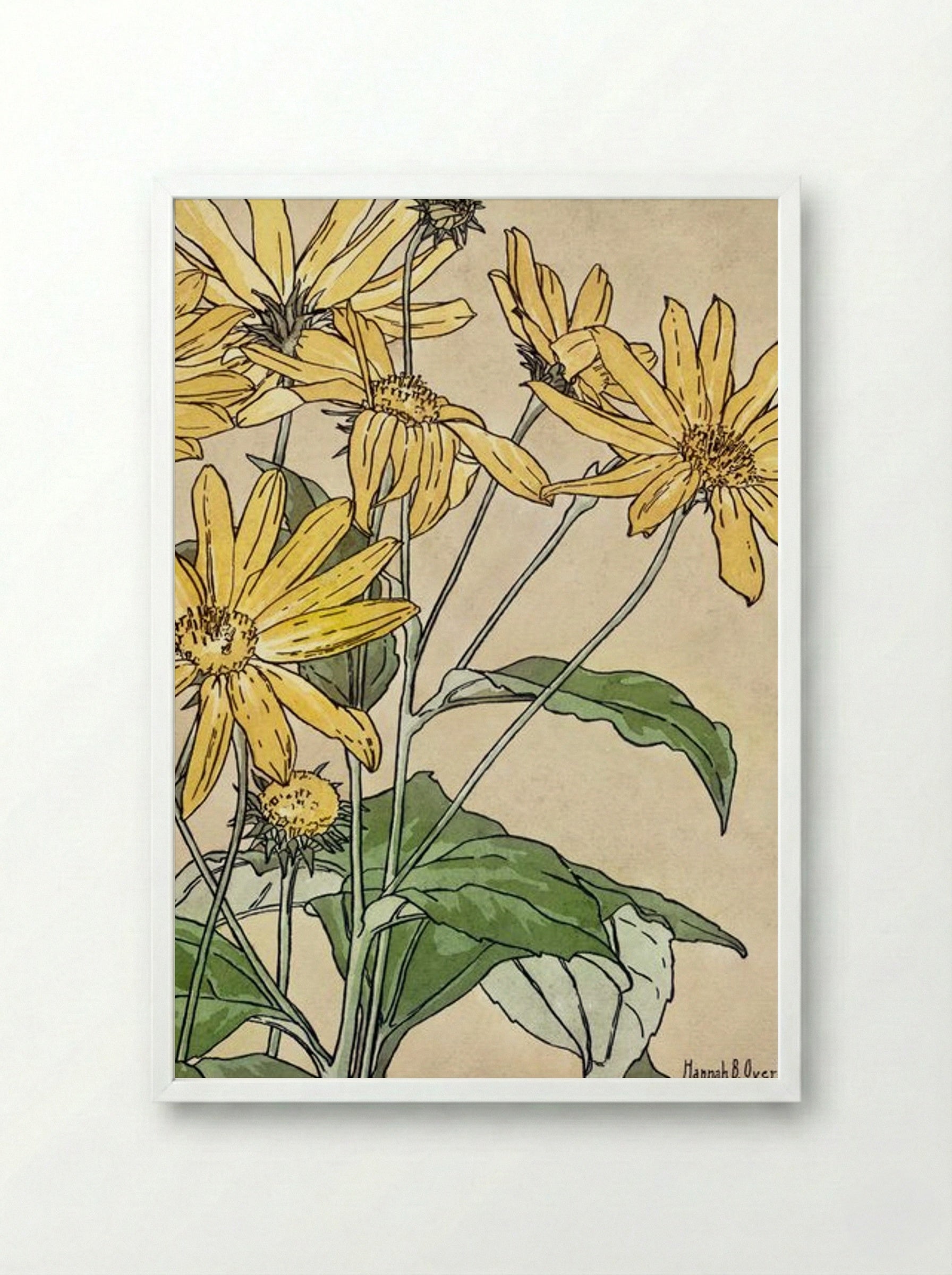 Sunflowers - Hannah Borger Overbeck - Framed Print White