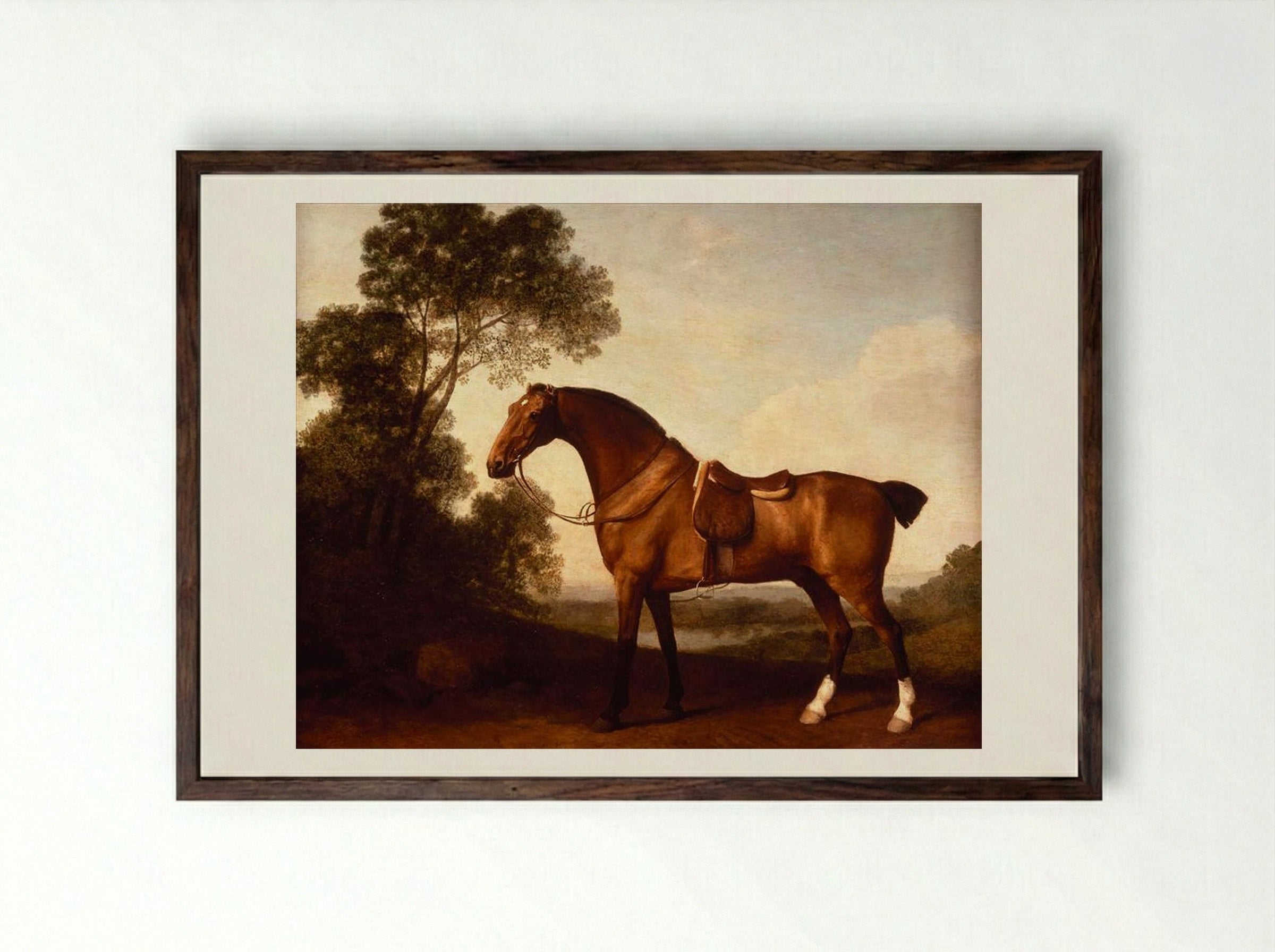 A Saddled Bay Hunter - George Stubbs - Framed Print Dark Wood