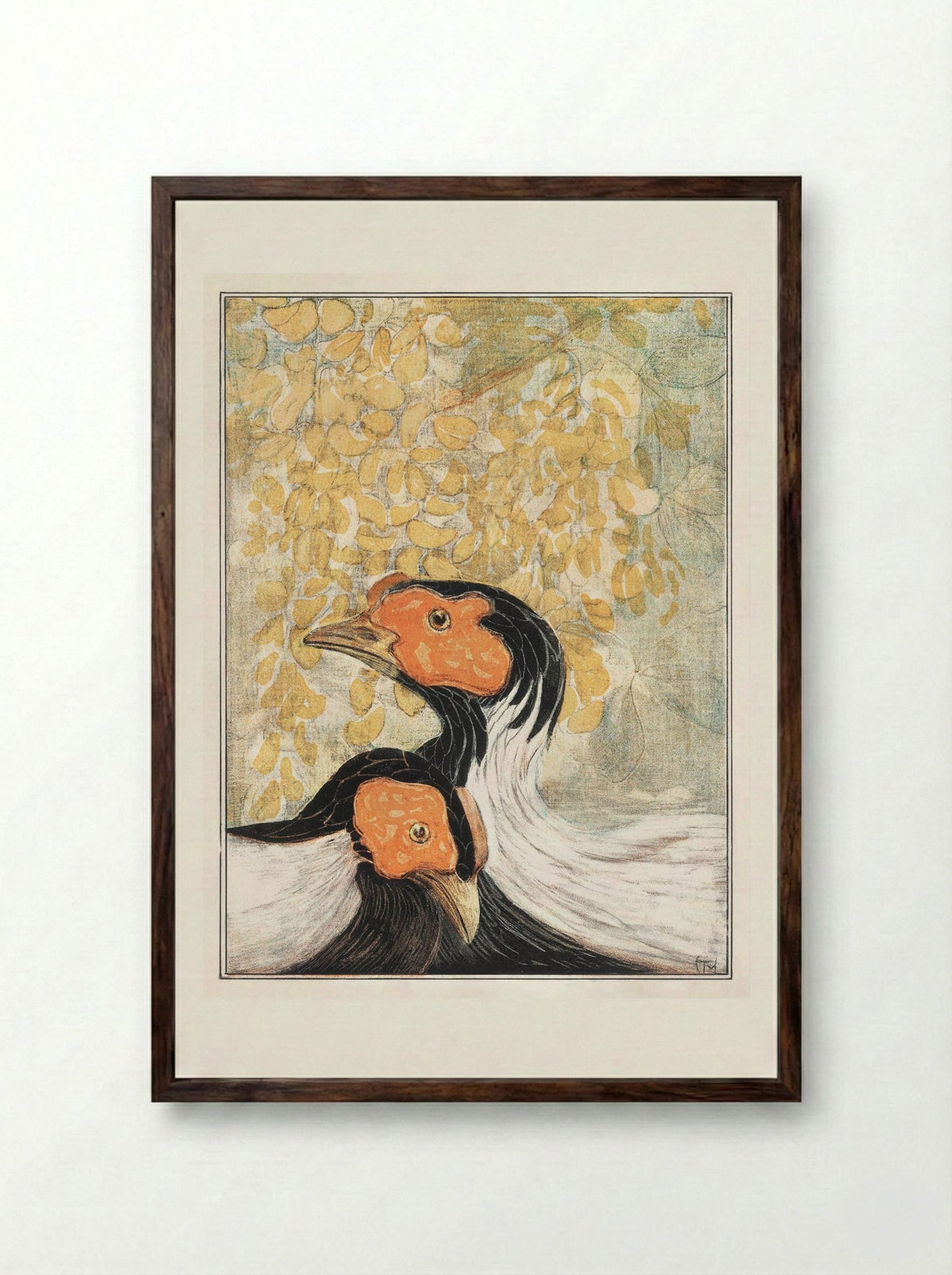 Two Silver Pheasants - Theo van Hoytema - Framed Print Dark Wood