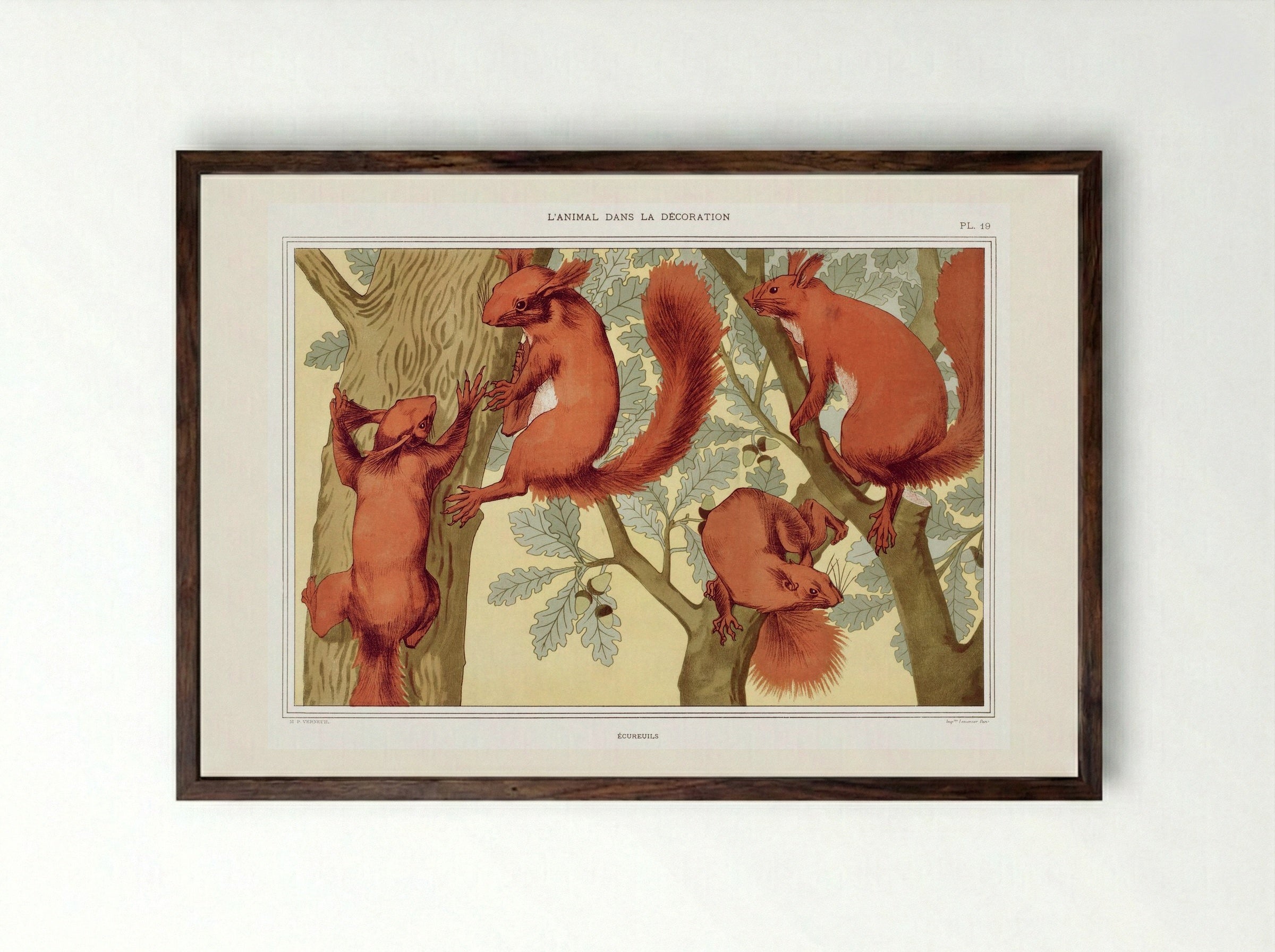 Écureuils (Squirrels) from L'animal dans la décoration - Maurice Pillard Verneuil - Framed Print Dark Wood