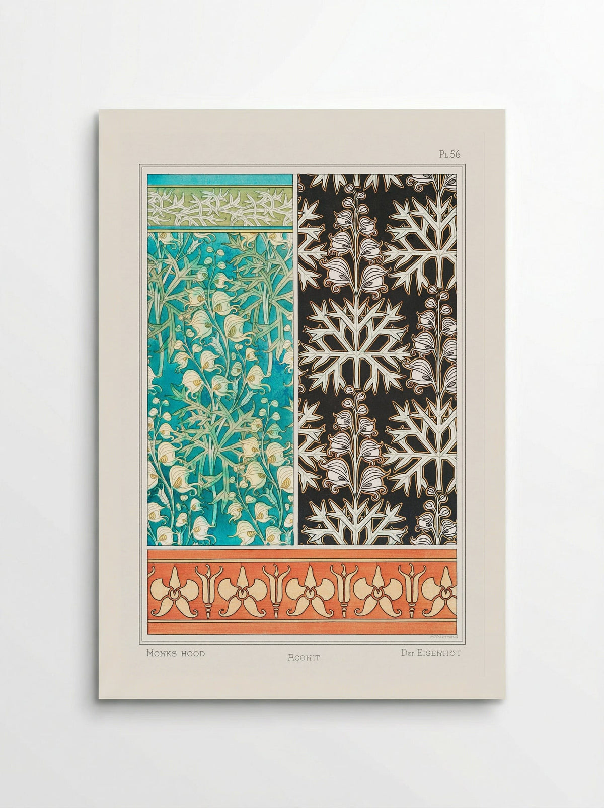 Aconite (Monkshood) - Maurice Pillard Verneuil - Poster