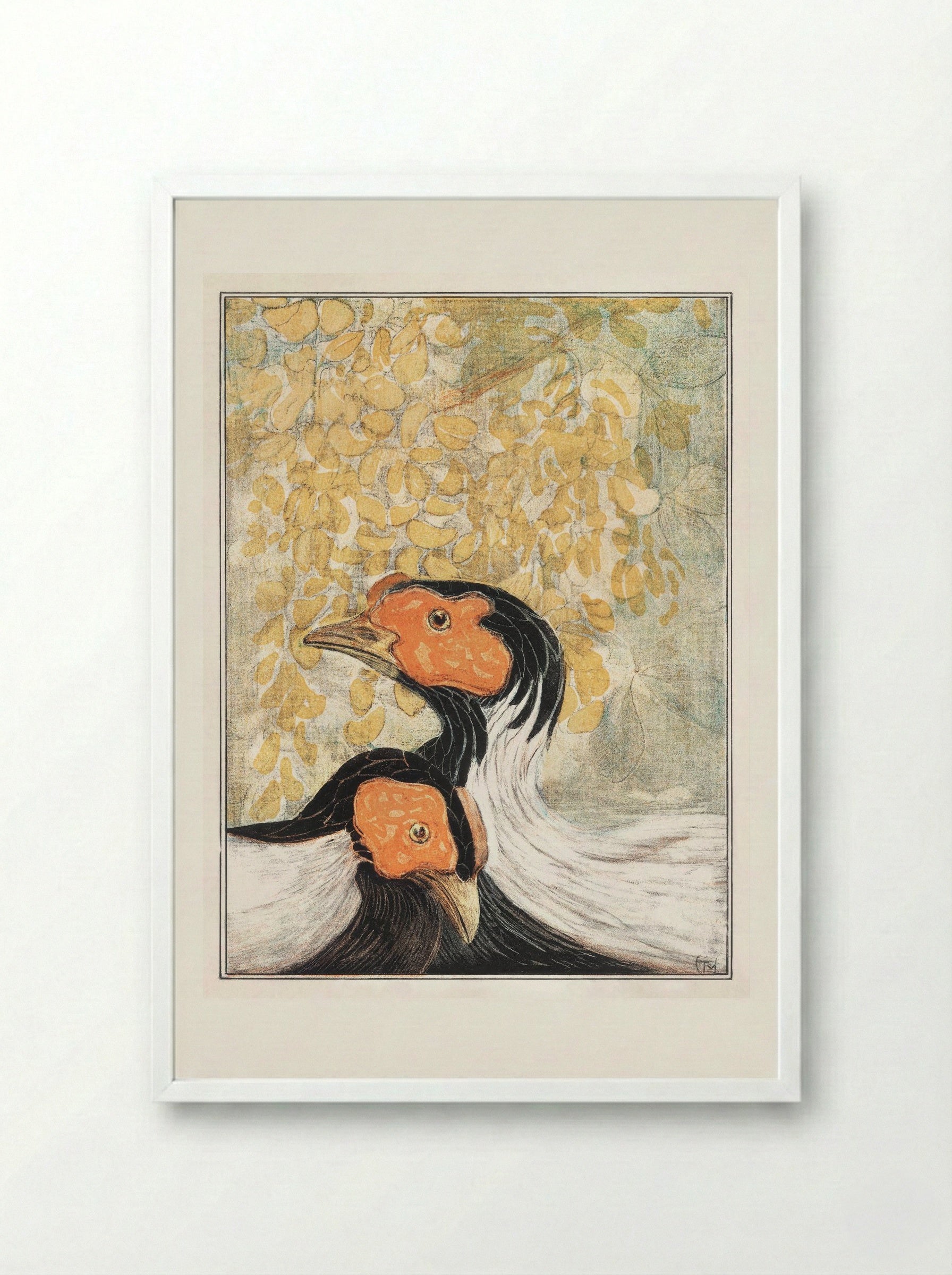Two Silver Pheasants - Theo van Hoytema - Framed Print White