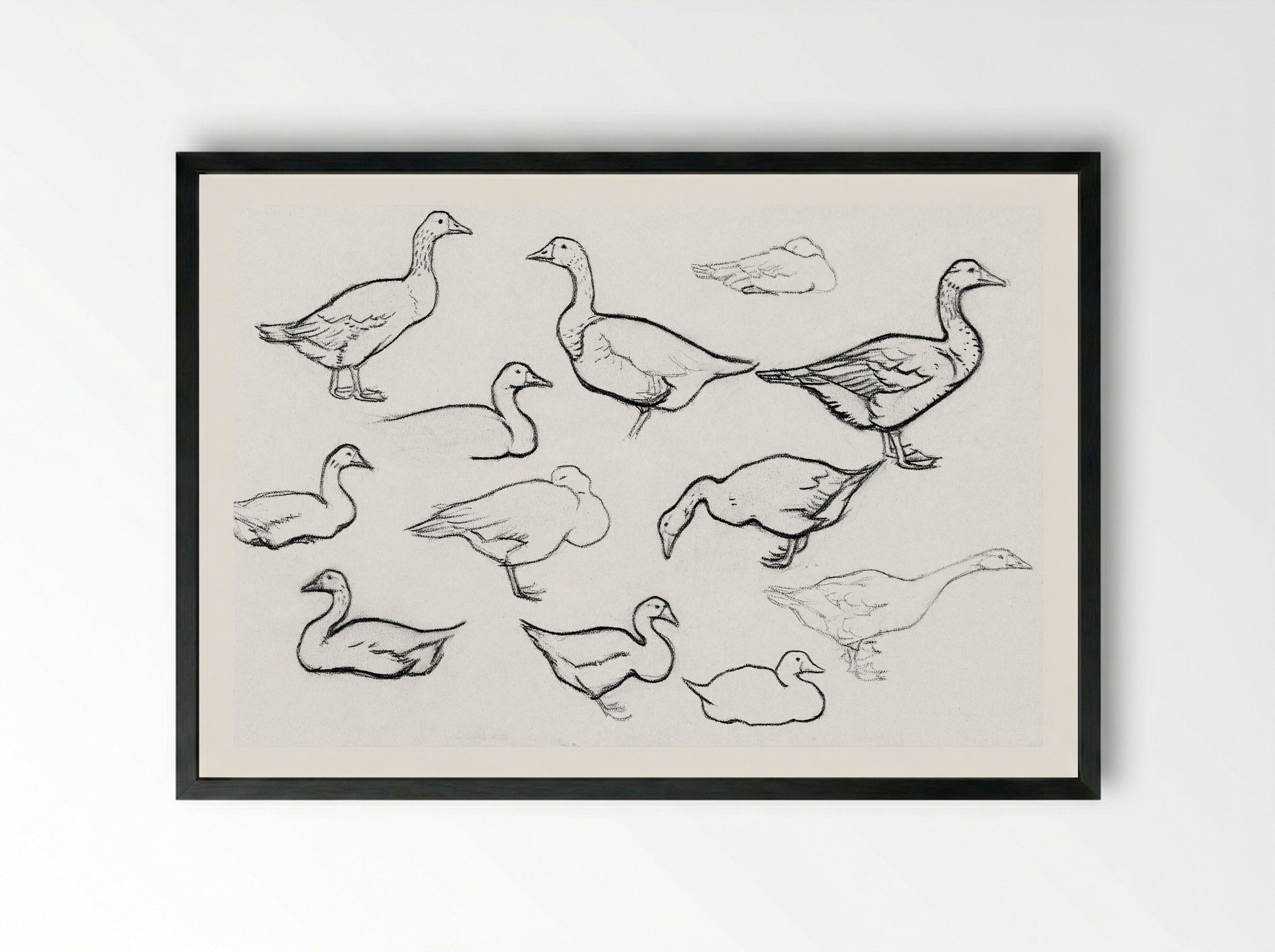 Study of Geese - Julie de Graag - Framed Print Black