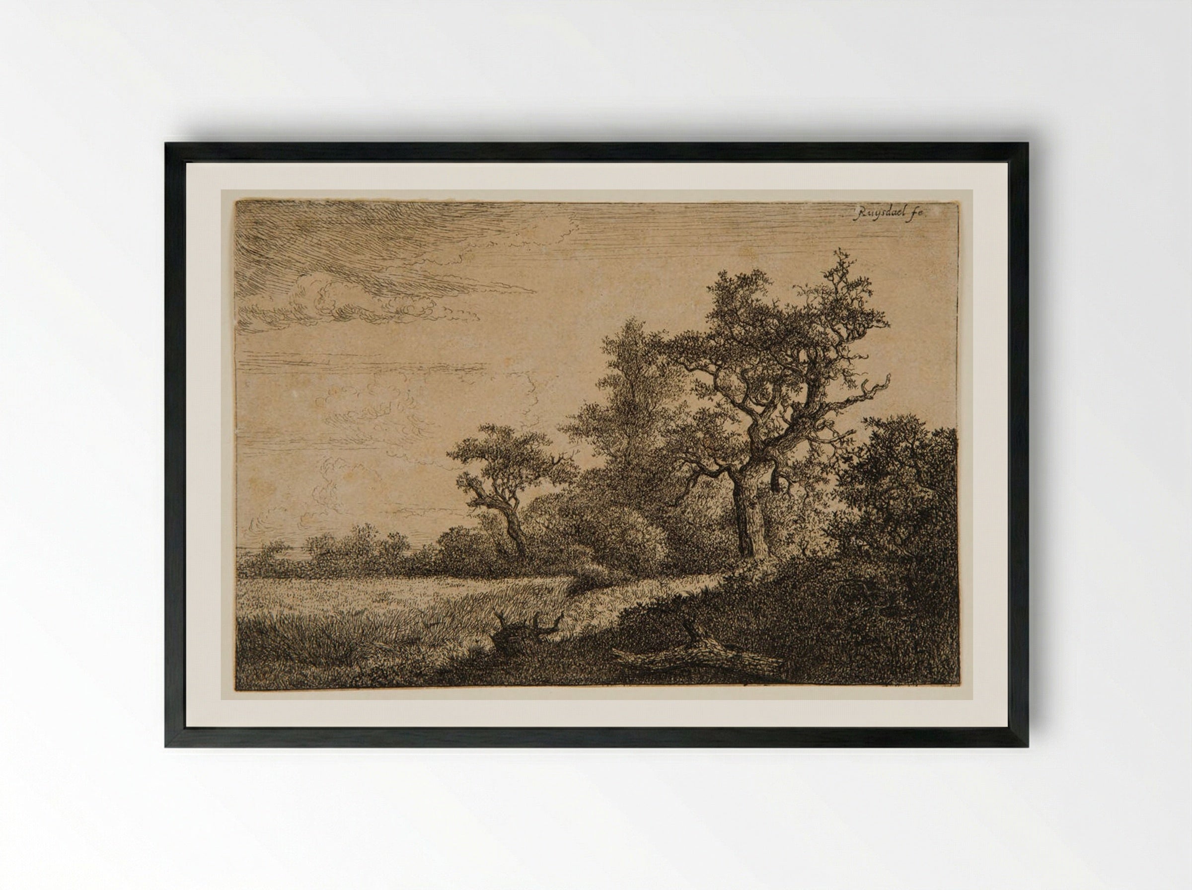 Grain Field at the Edge of a Wood - Jacob van Ruisdael - Framed Print Black