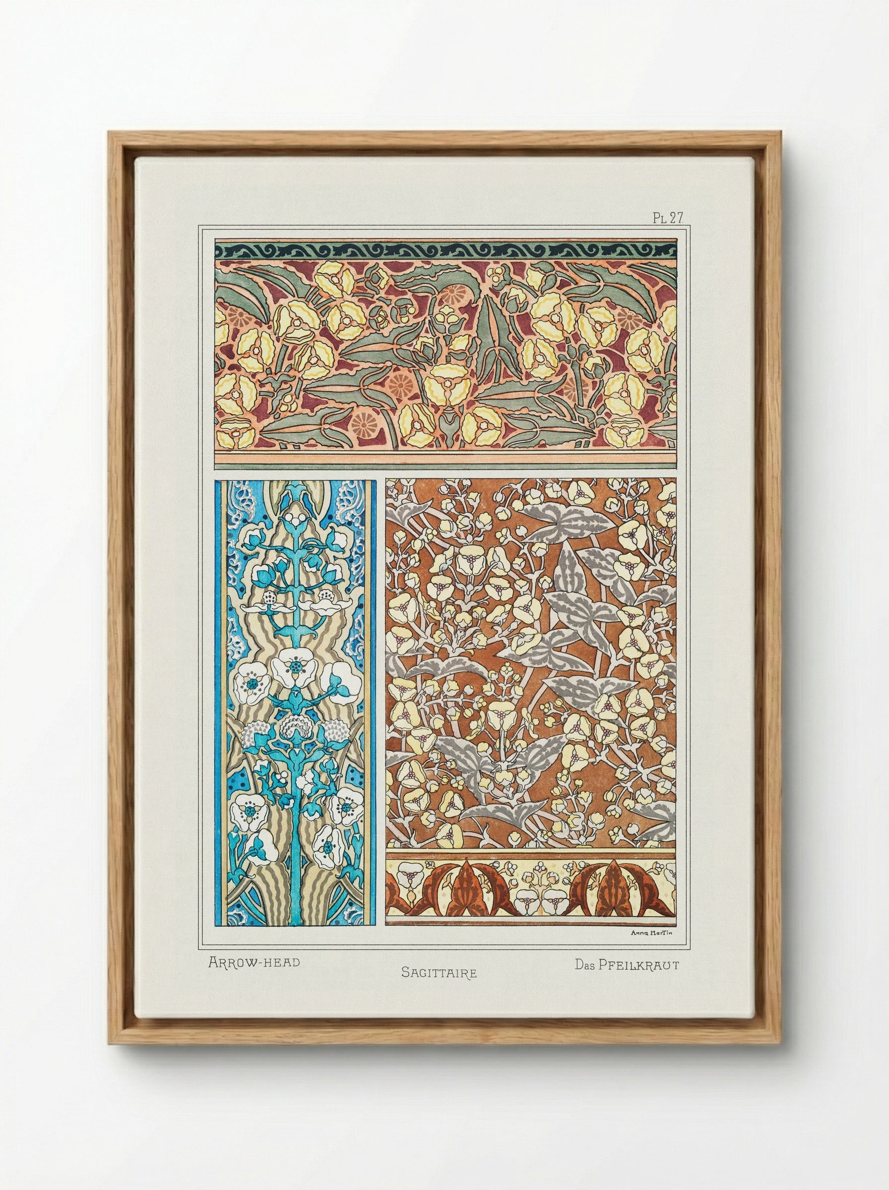 Sagittaire (Arrowhead) from La Plante et ses Applications ornementales - Maurice Pillard Verneuil - Framed Canvas Wood