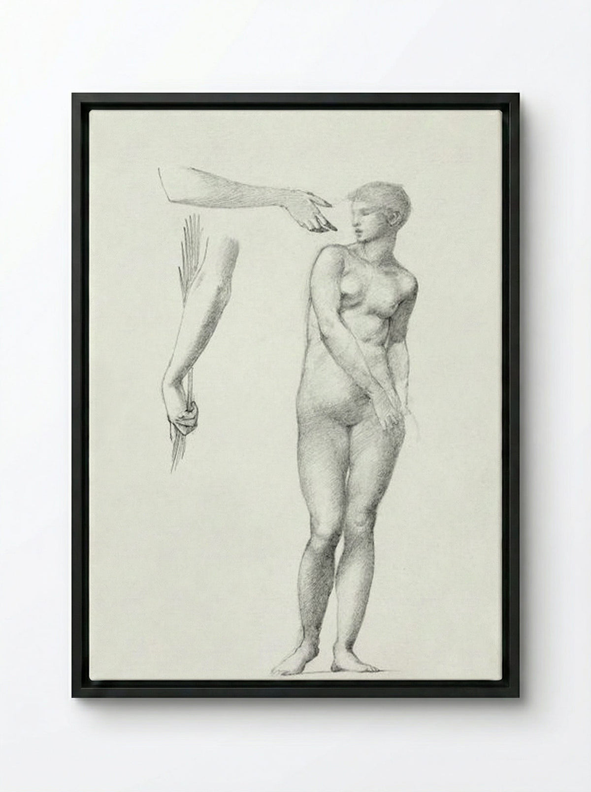 Standing Female Nude and Sketches of Arms - Edward Burne-Jones - Framed Canvas Black