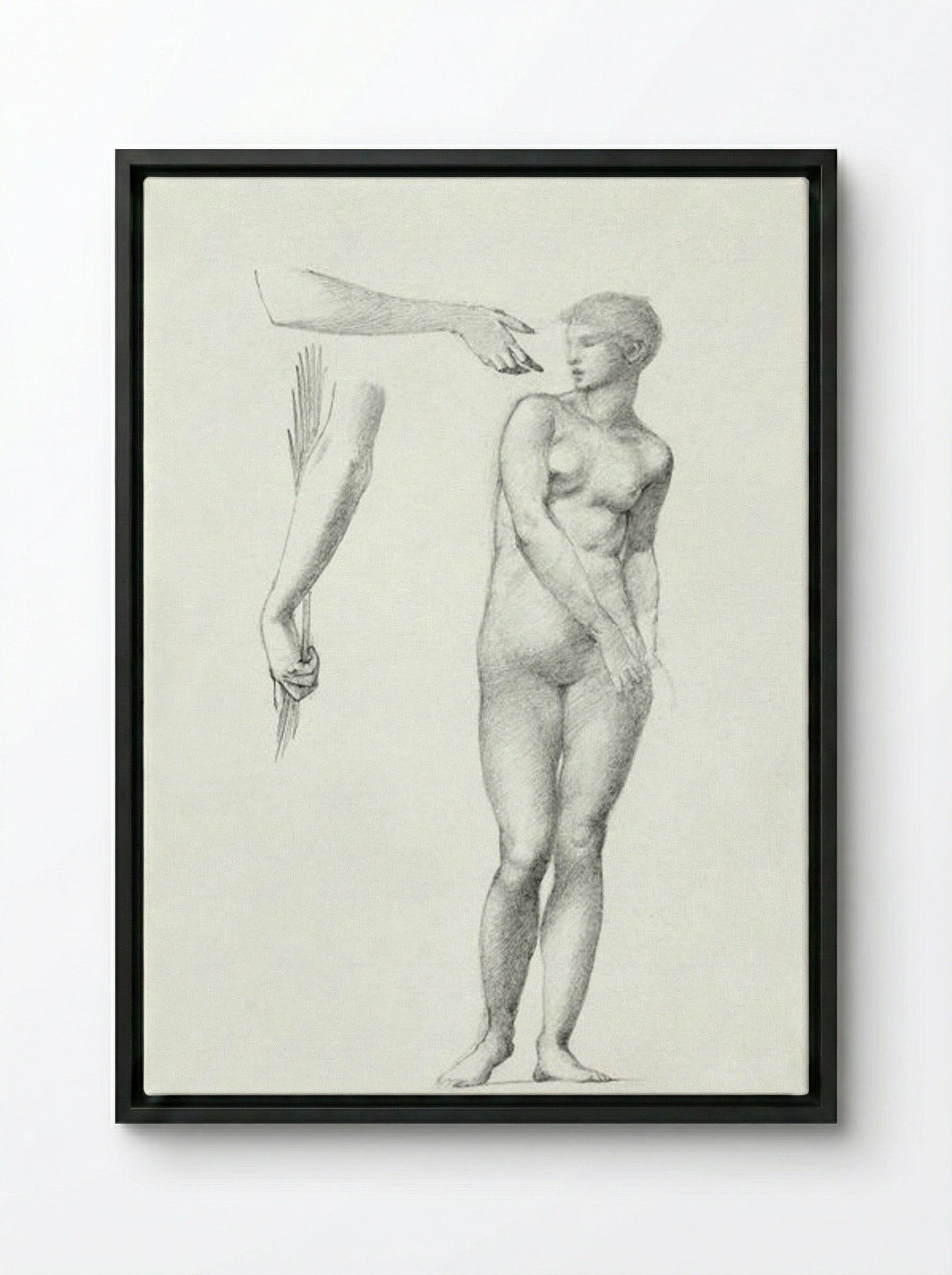Standing Female Nude and Sketches of Arms - Edward Burne-Jones - Framed Canvas Black