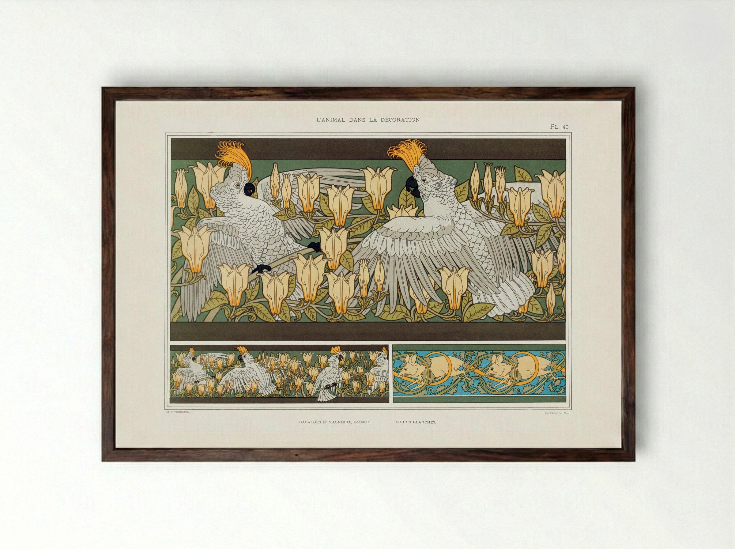 Cacatoès et Magnolia, Bordure; Souris Blanches - Maurice Pillard Verneuil - Framed Print Dark Wood