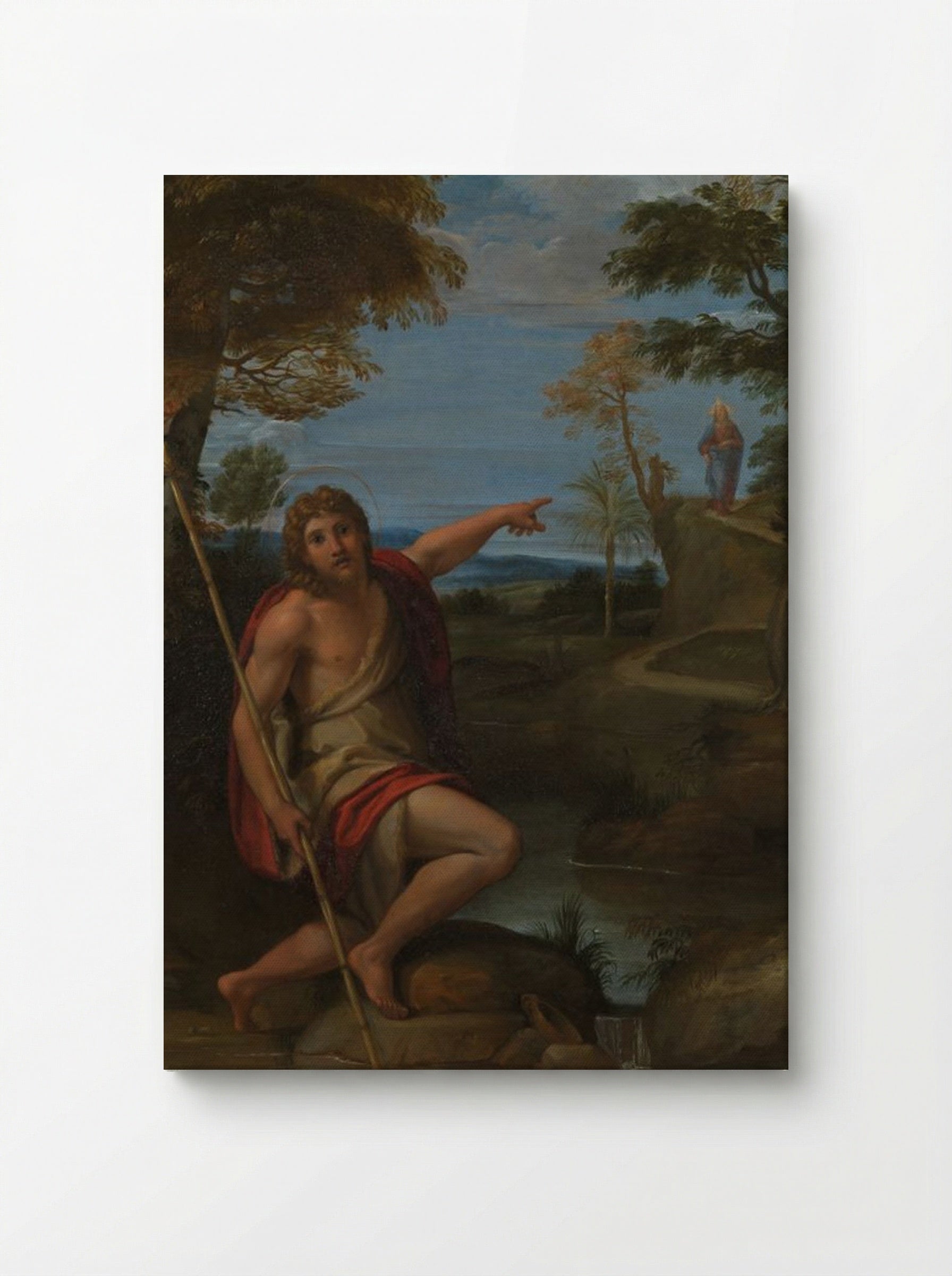 Saint John the Baptist Bearing Witness - Annibale Carracci - Canvas