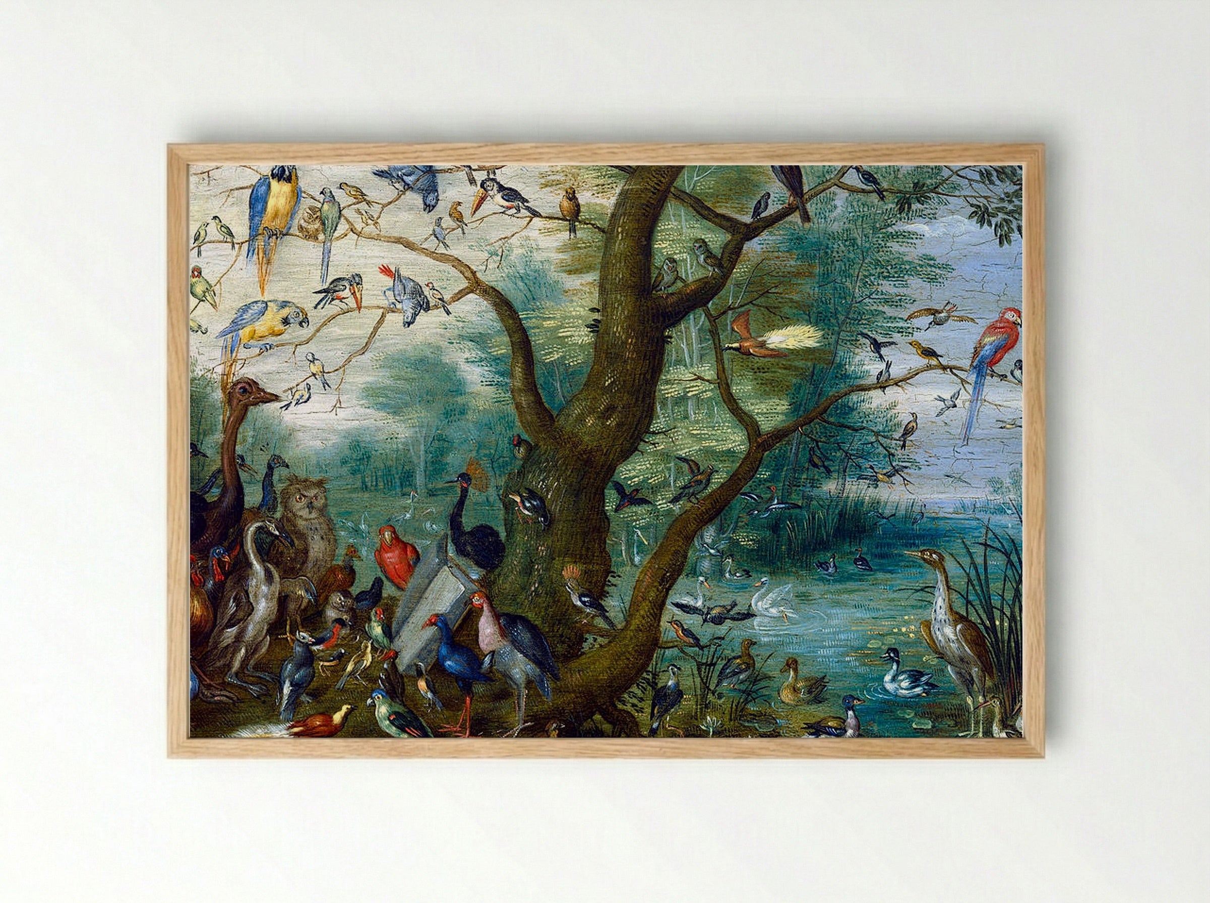 Concert of Birds - Jan van Kessel the Elder - Framed Print Wood